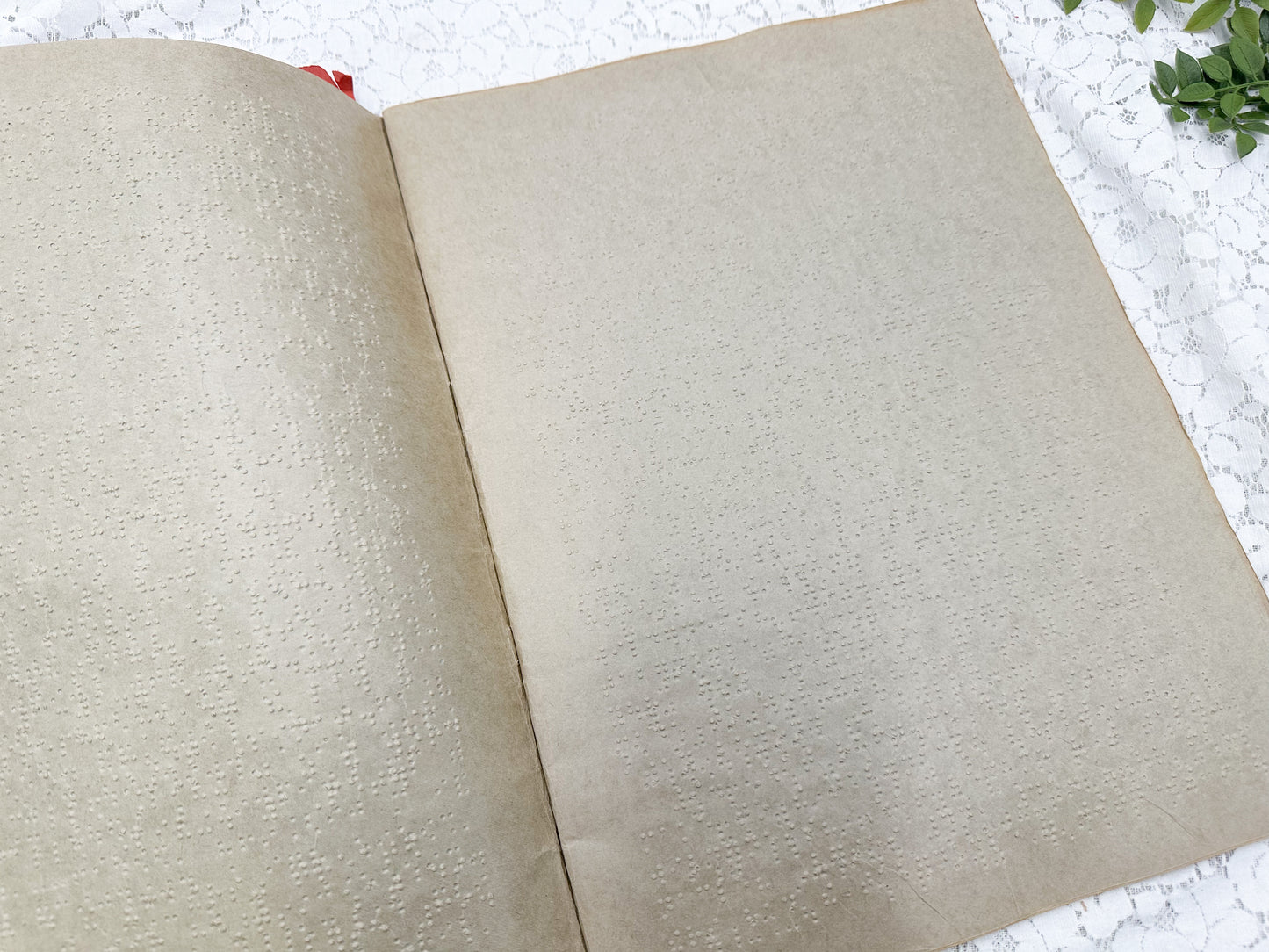 Braille Book