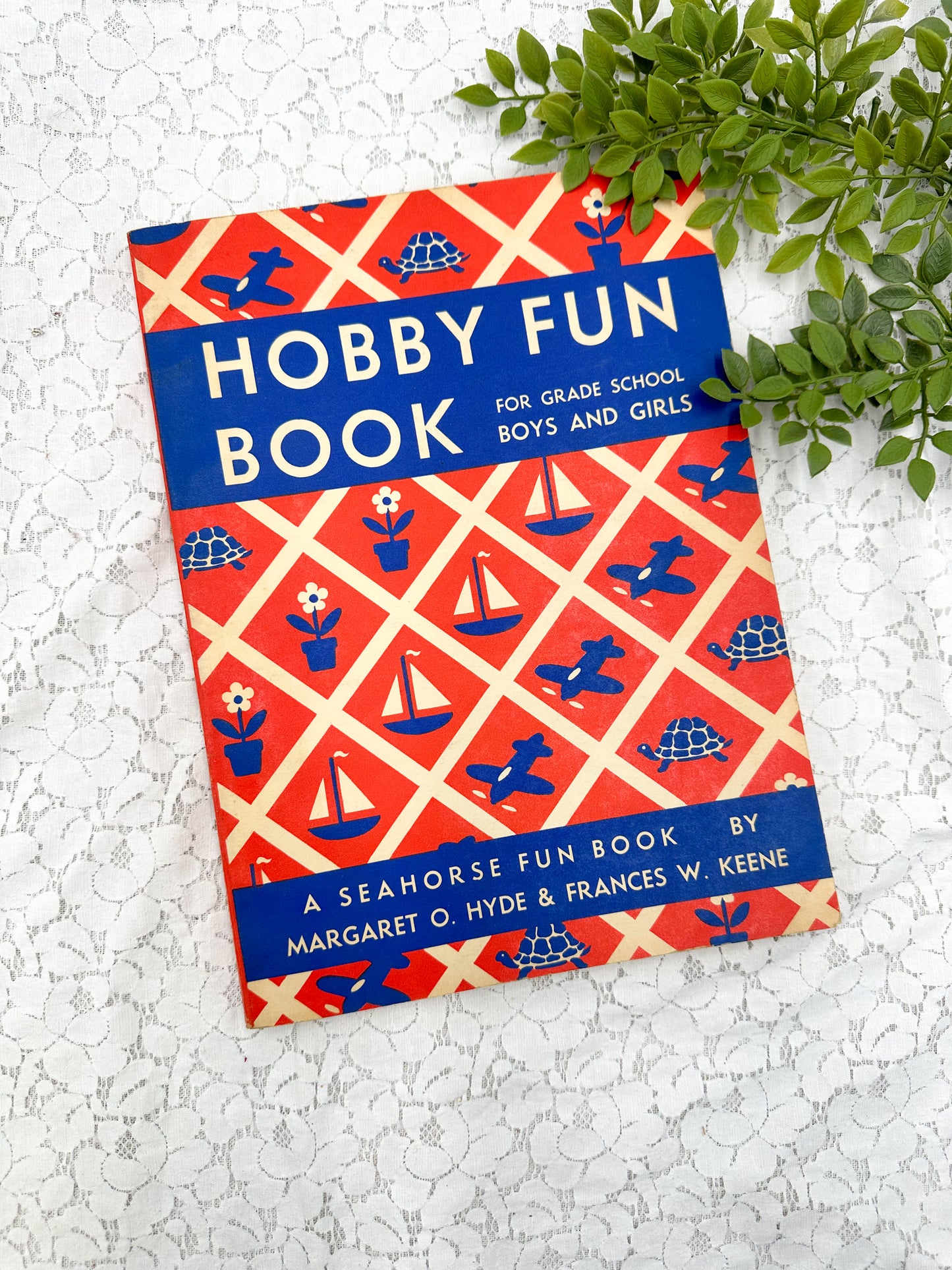 Hobby Fun Book