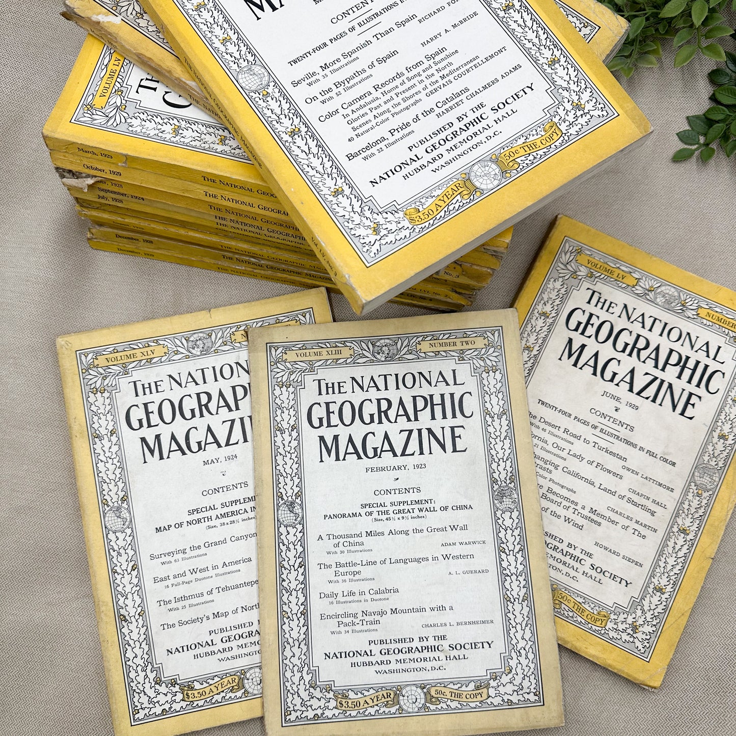1920's National Geographic Magazines (16 available)