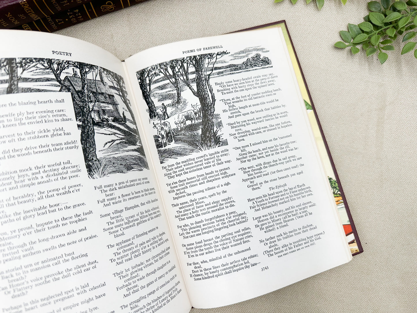 The Book of Knowledge (Multiples Available)
