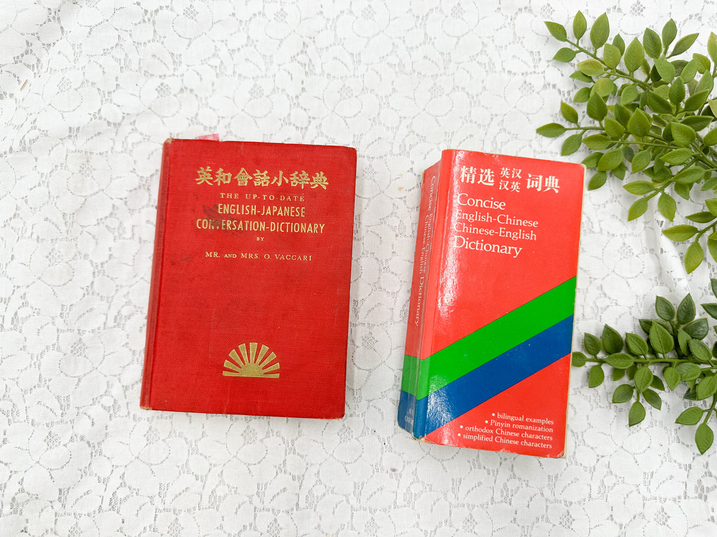Foreign Language Dictionary Set