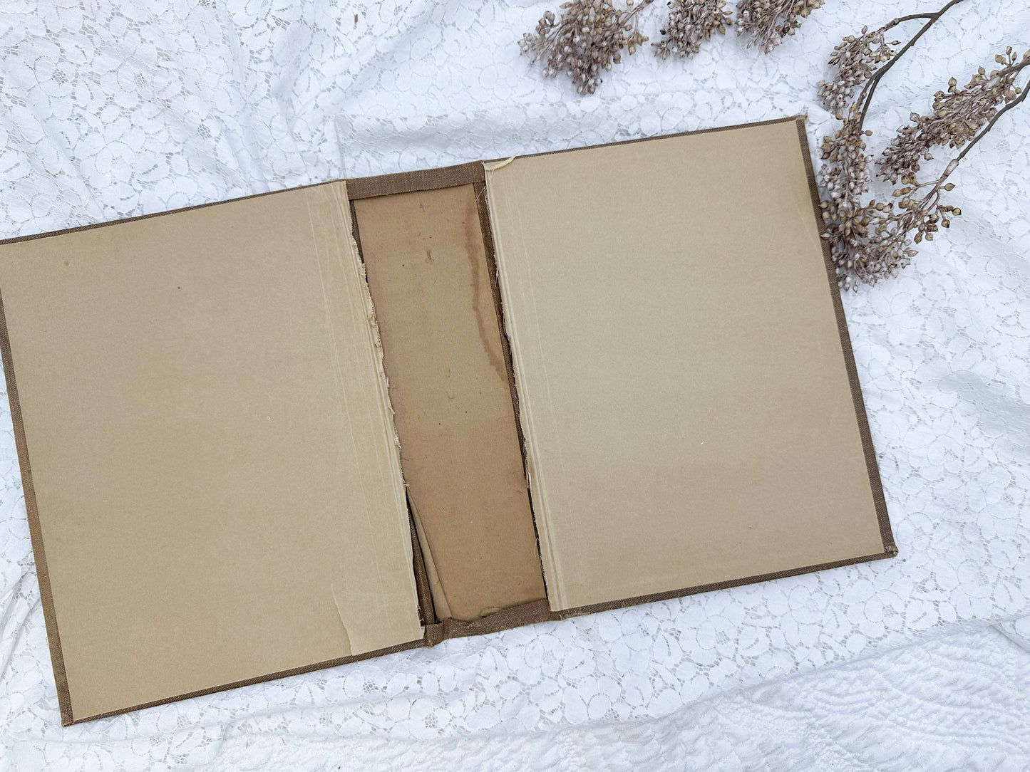 Vintage Book Cover