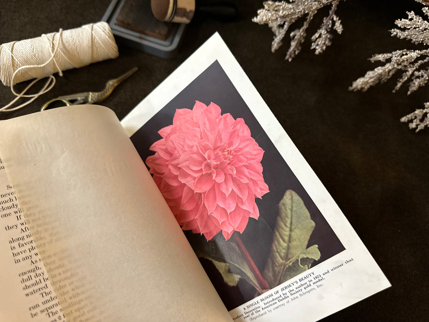 Beautiful Vintage Book