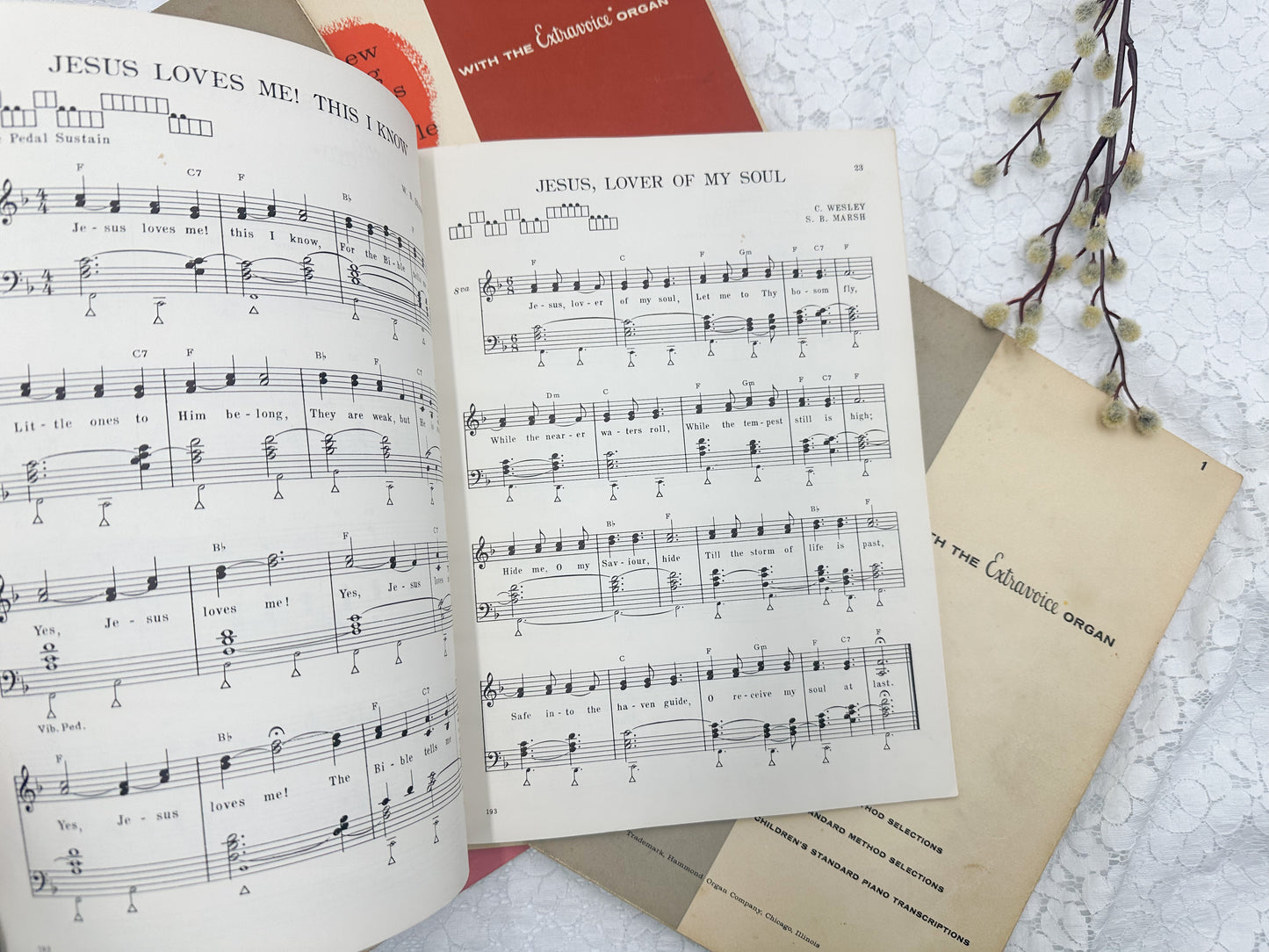 Vintage Music Book Collection