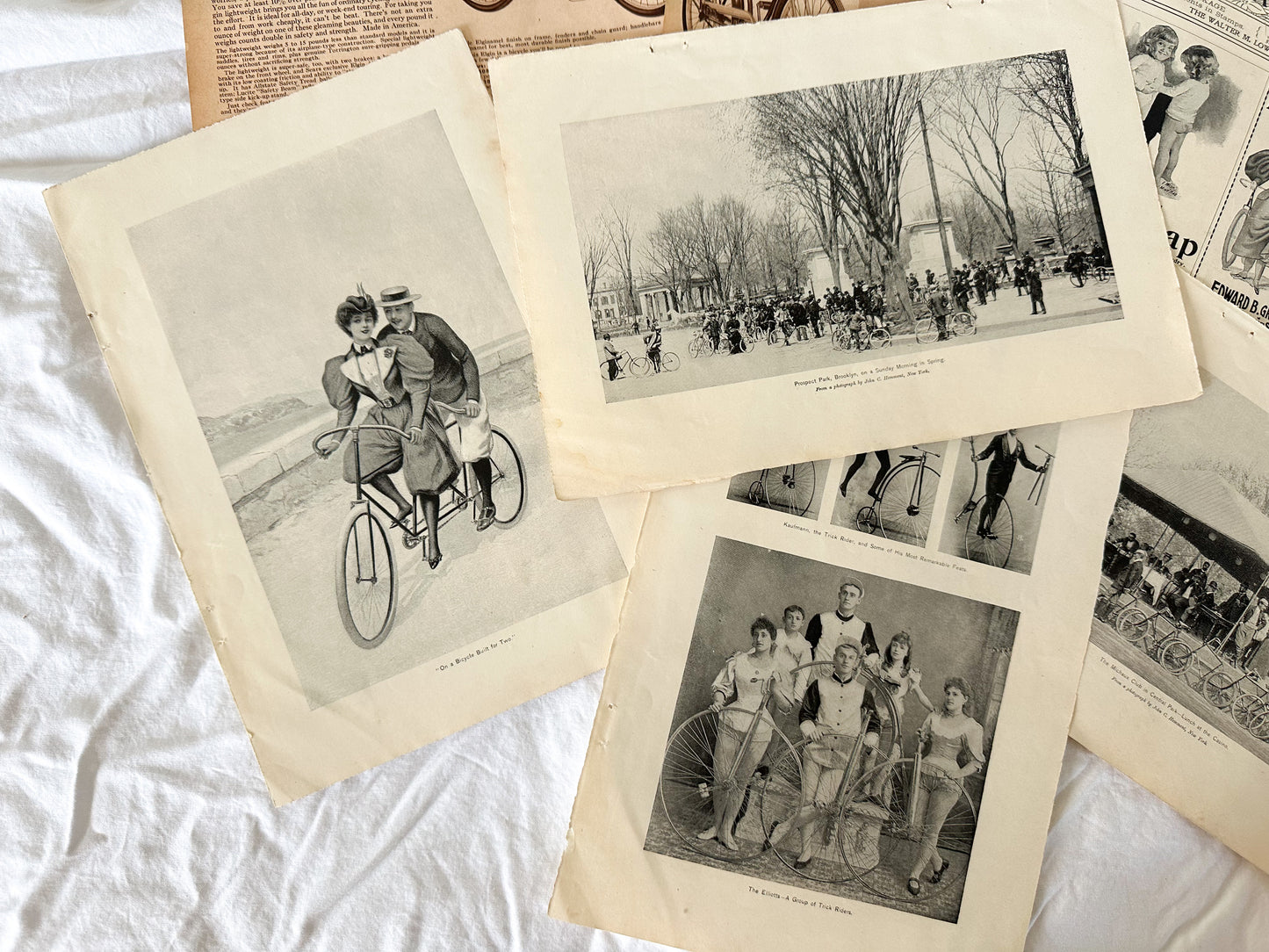 Vintage Bicycle Print Set