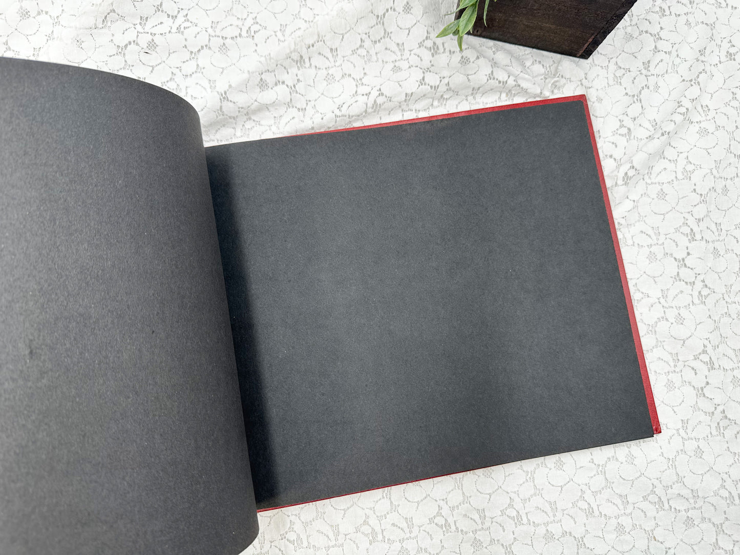 Empty Photo Album