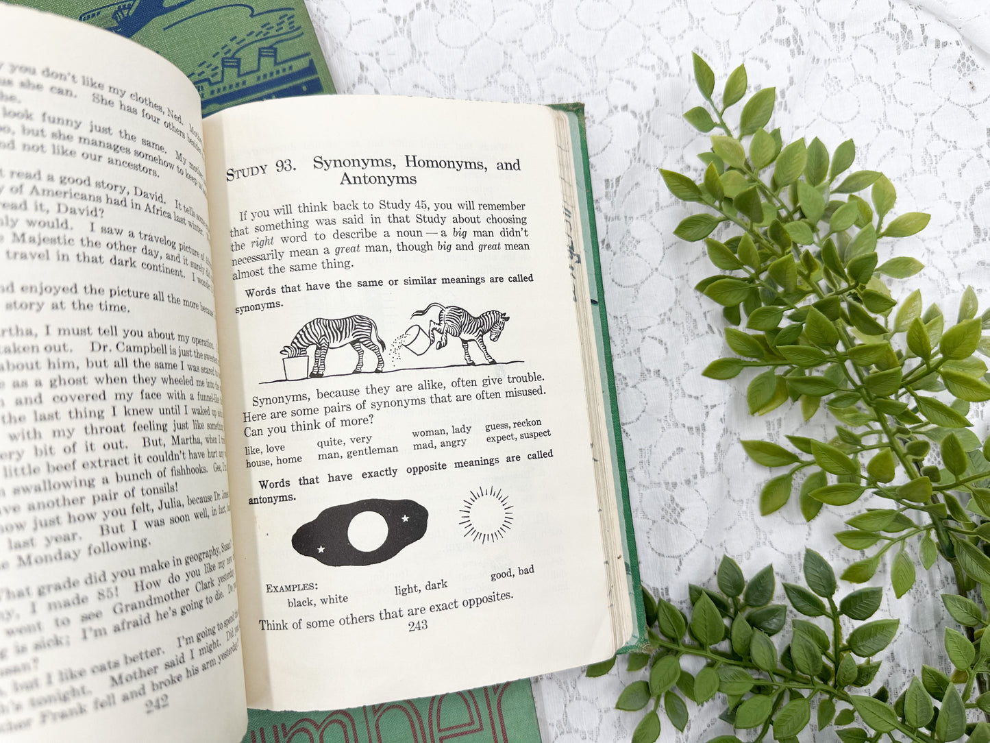 Vintage Textbooks (Set of 3)
