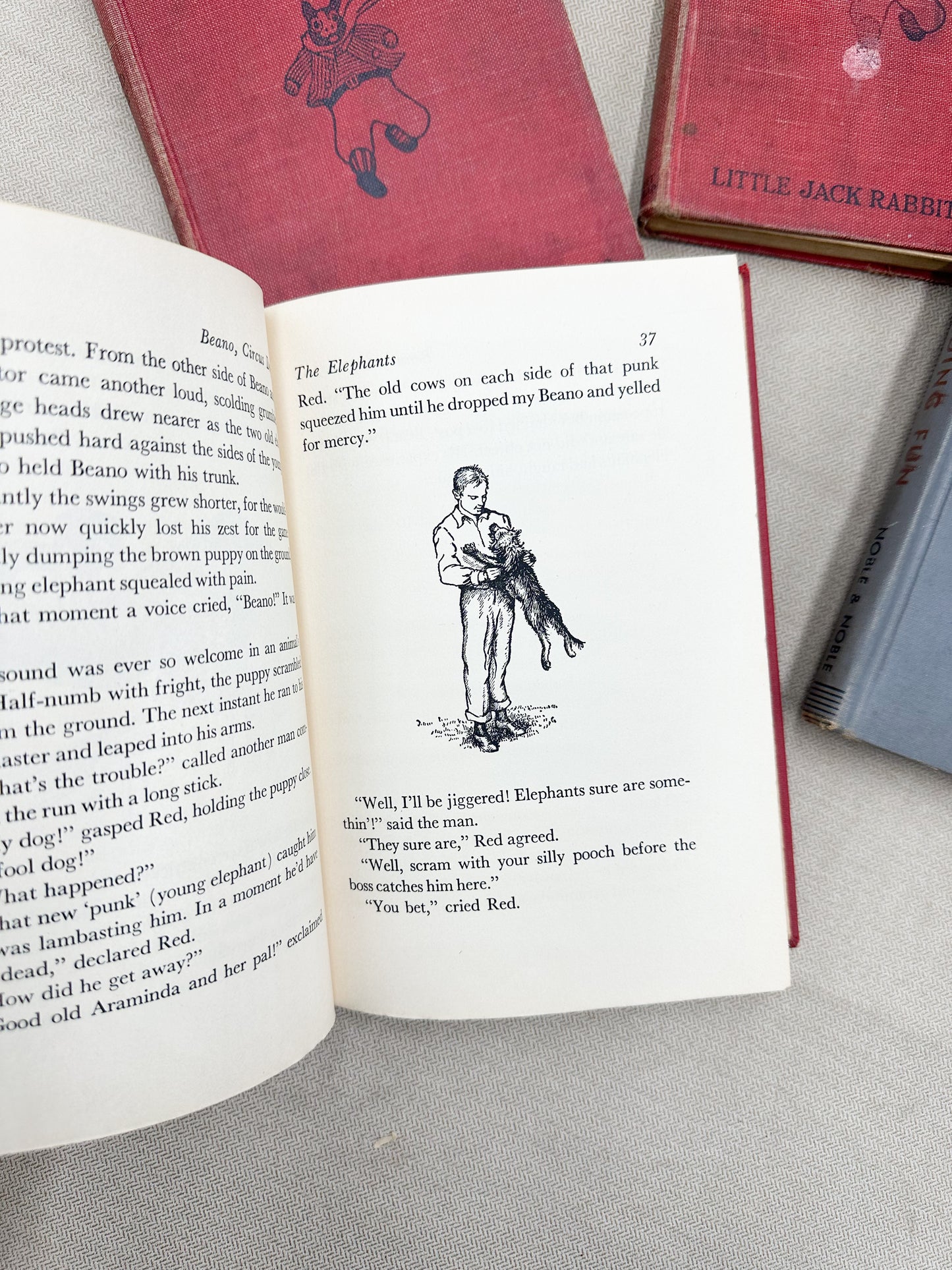 Vintage Children's Books (Set of 4)
