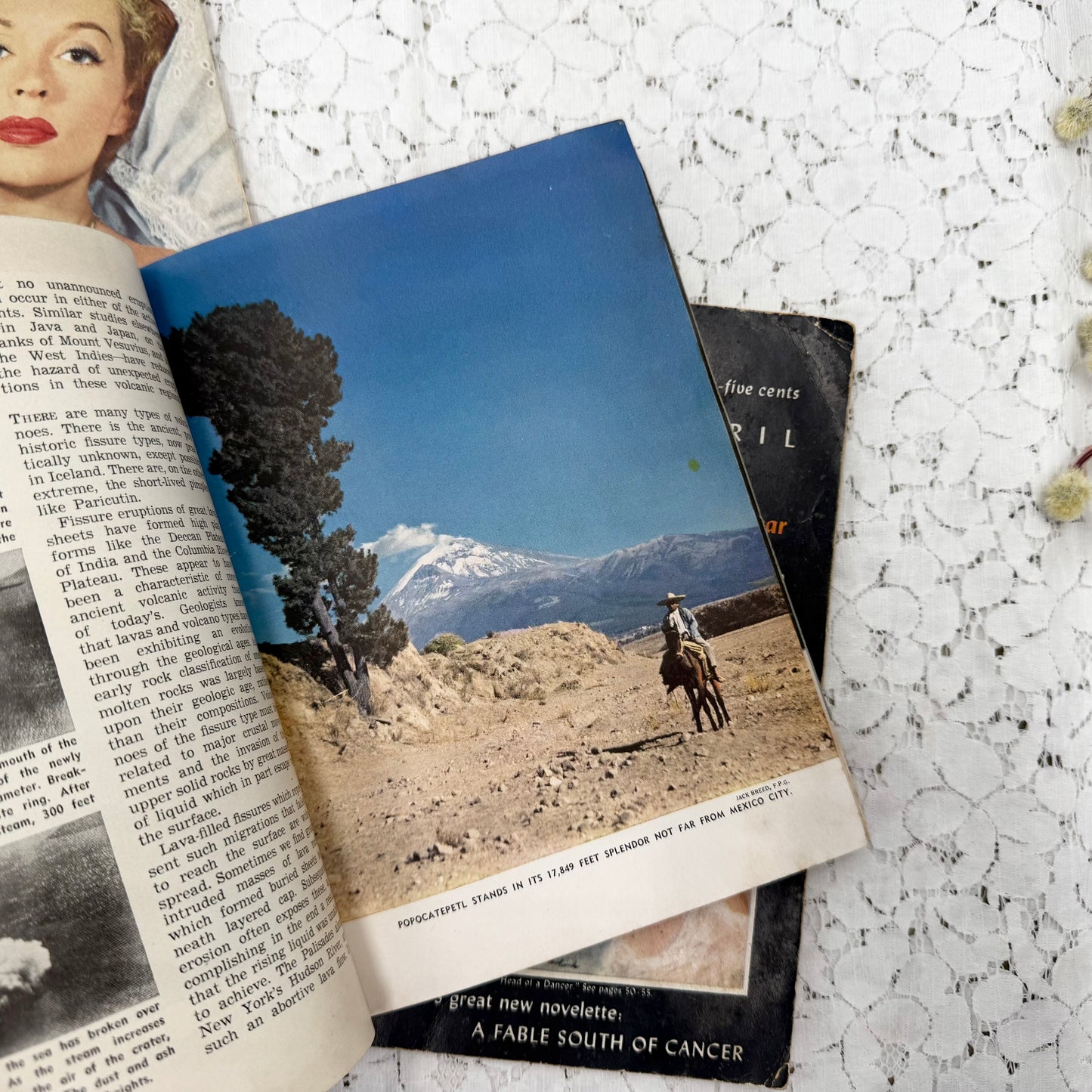 Vintage Booklet Set