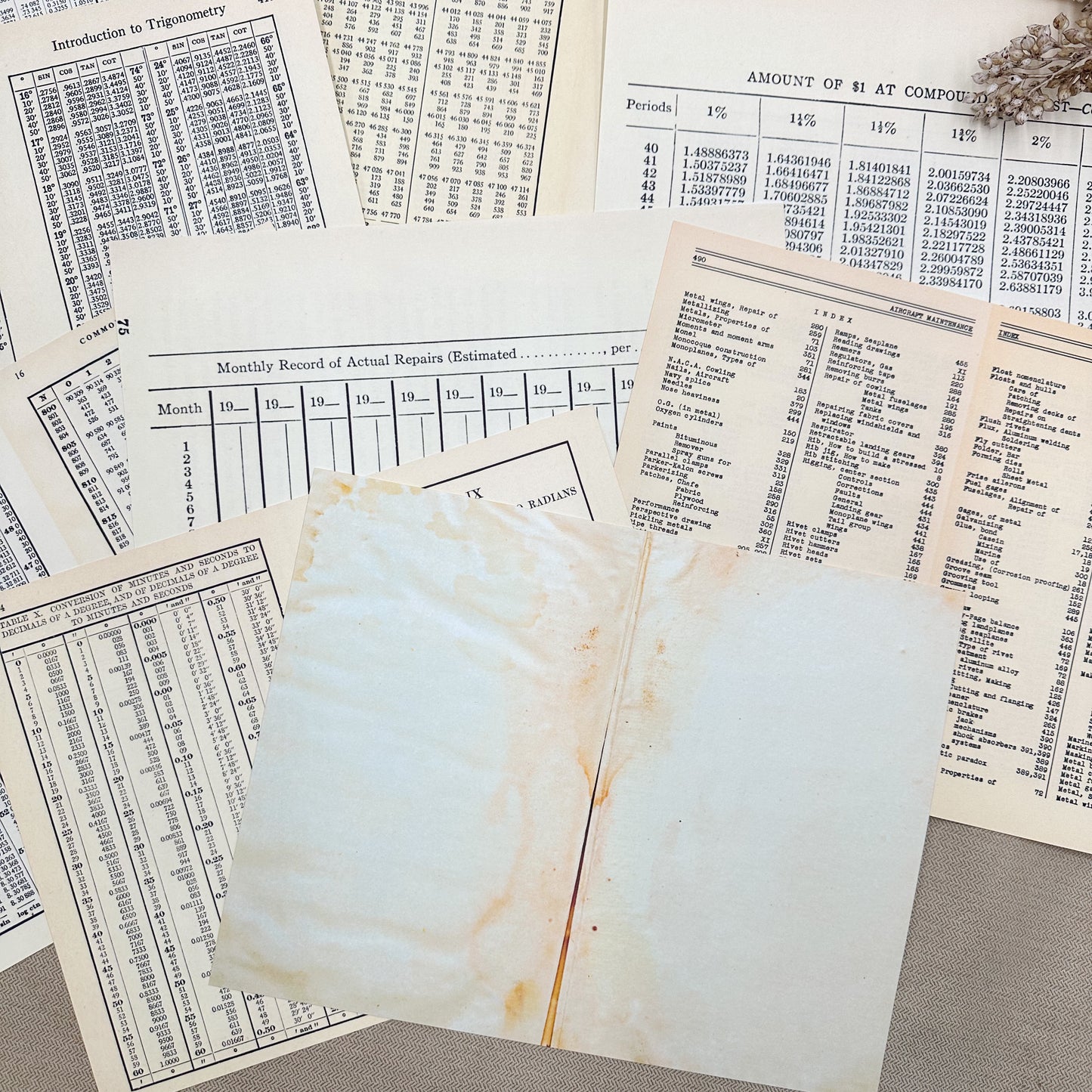 Tables Paper Pack- Paper, Tags, Tabs, and Pockets