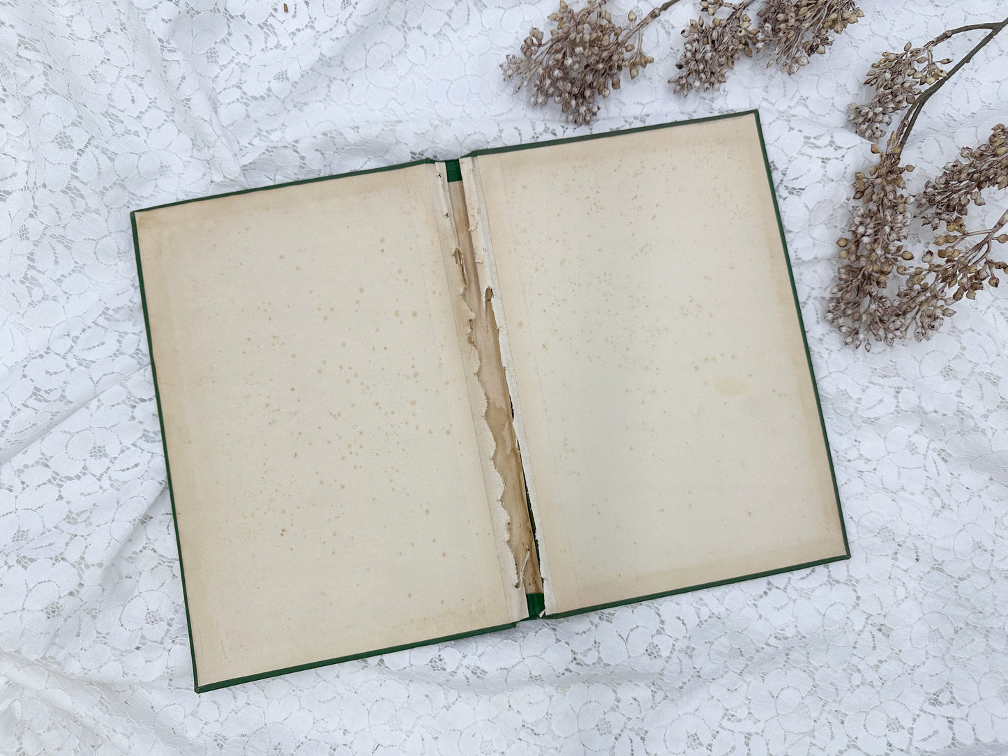 Vintage Book Cover