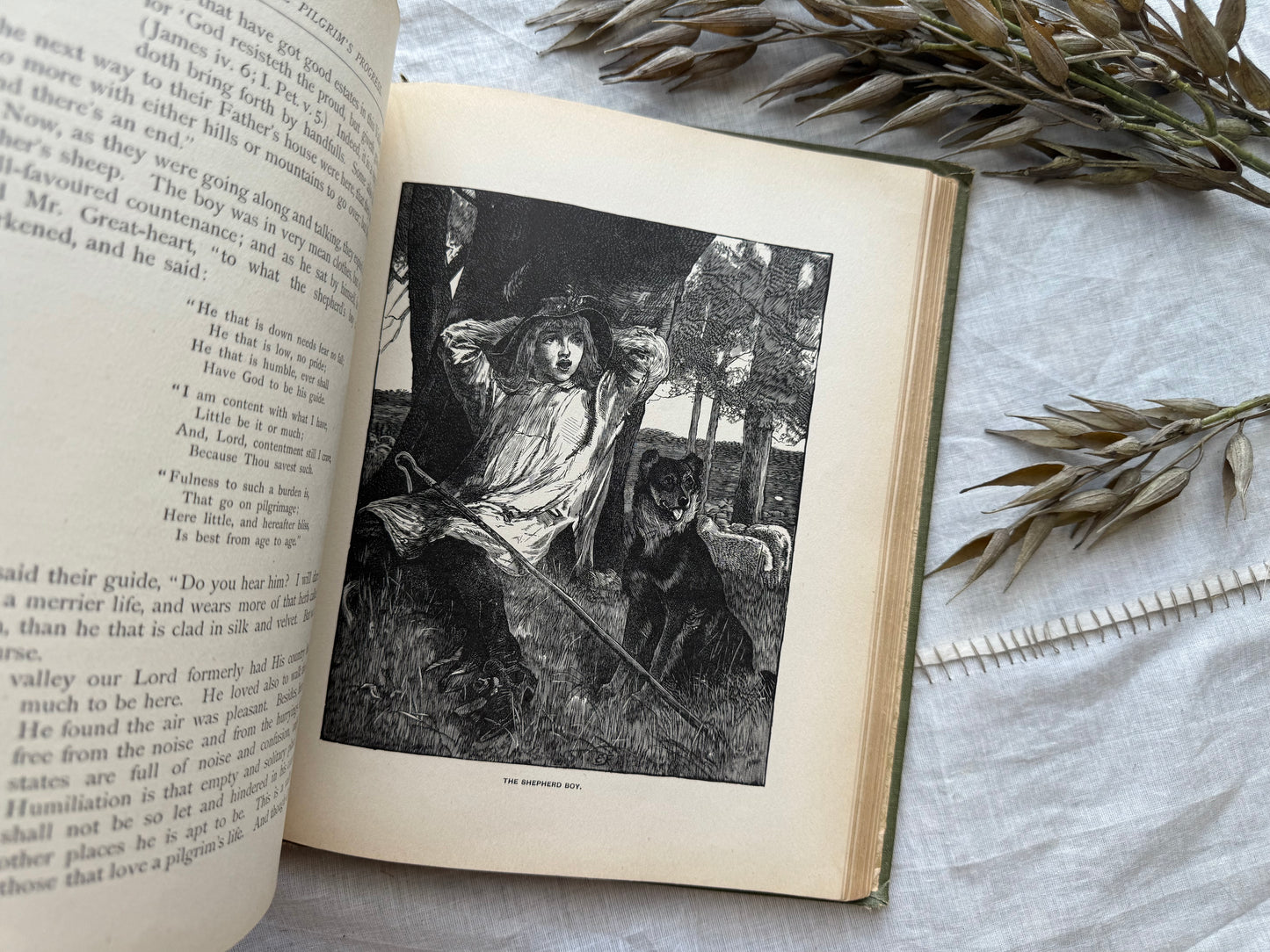 Illustrated Pilgrim's Promise