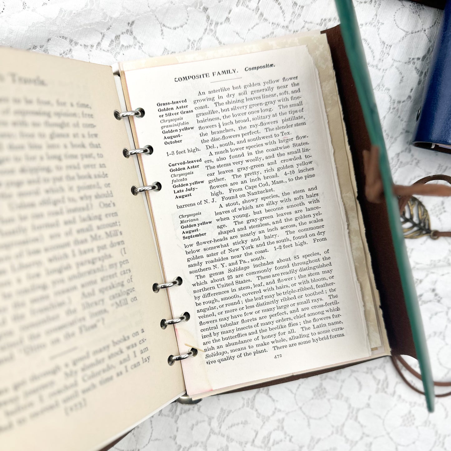 A6 Refillable Junk Journals (You Choose Color)