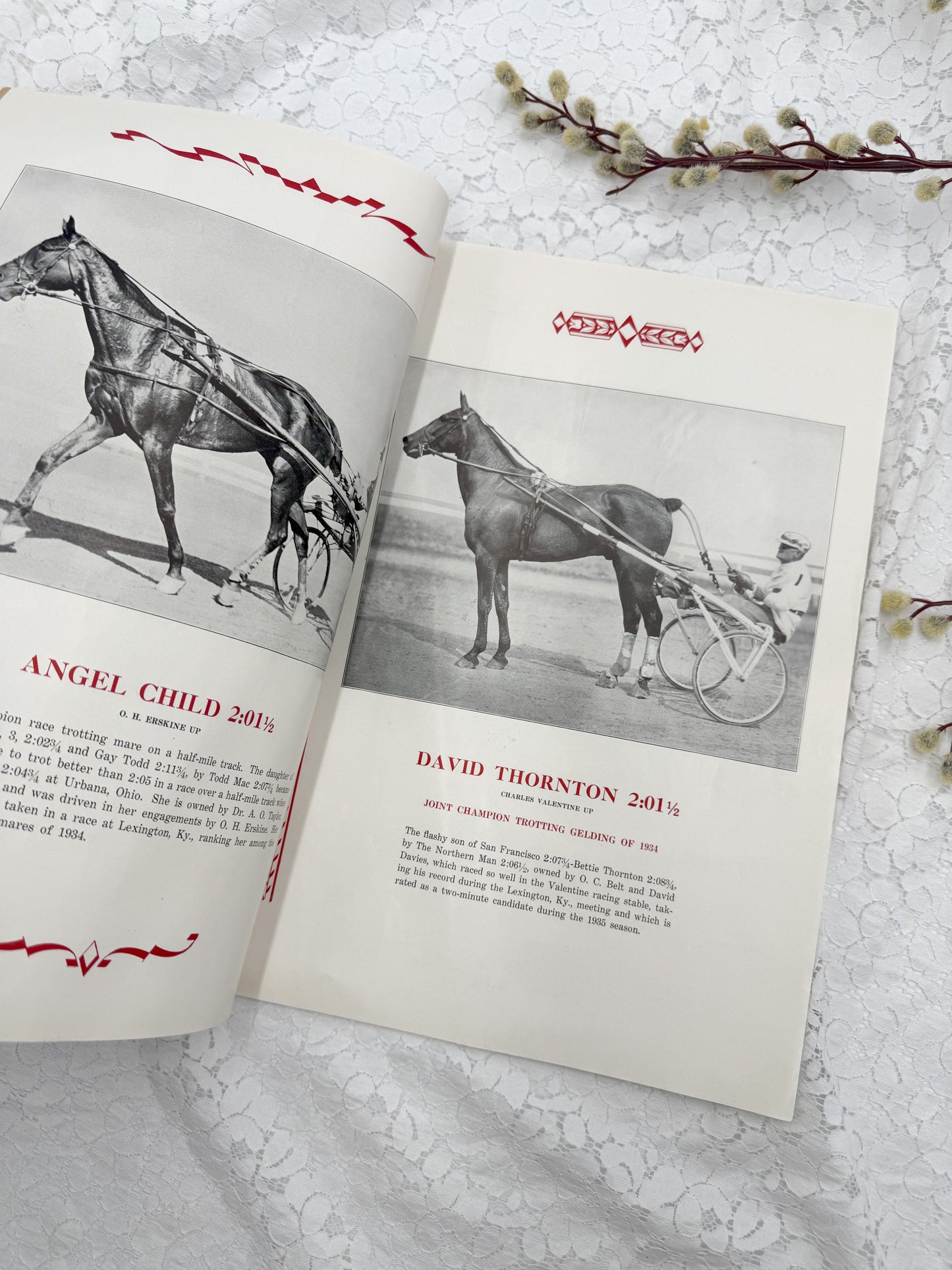 Vintage Horseman Magazine