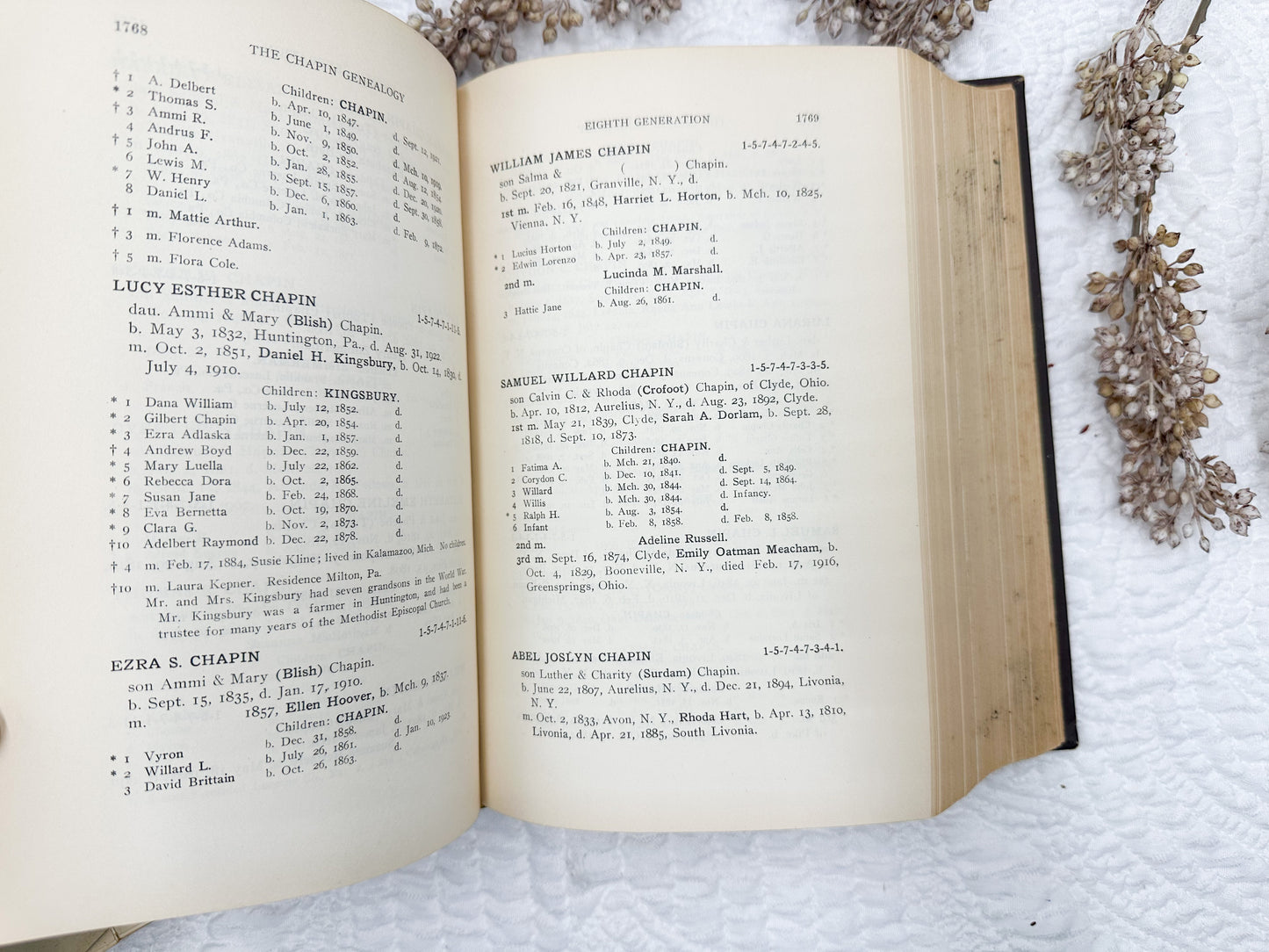 Vintage Genealogy