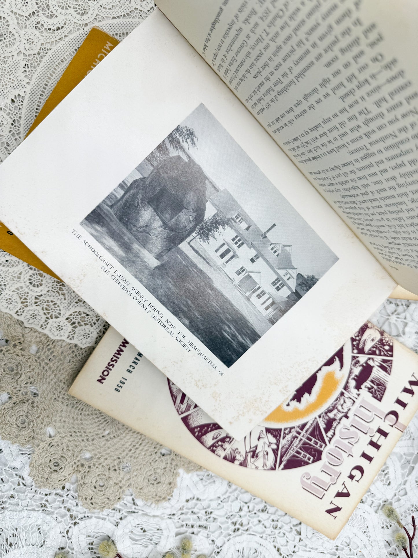 Michigan History Books