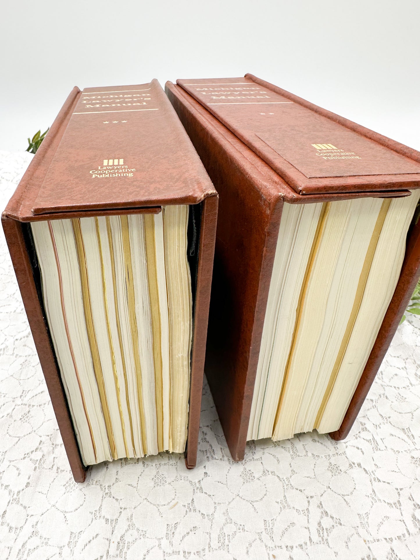 Michigan Manual Book with Cool Closure