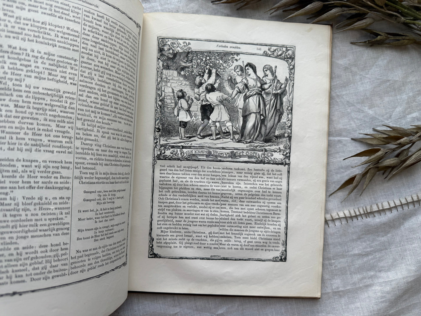 Illustrated Foreign Language Book