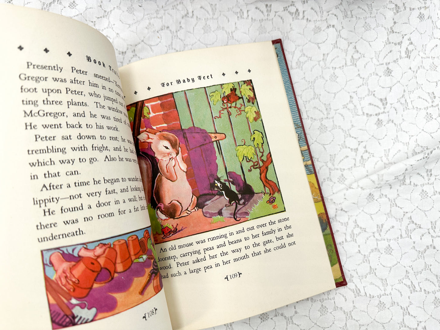 Book Trails Book (Multiple Available)