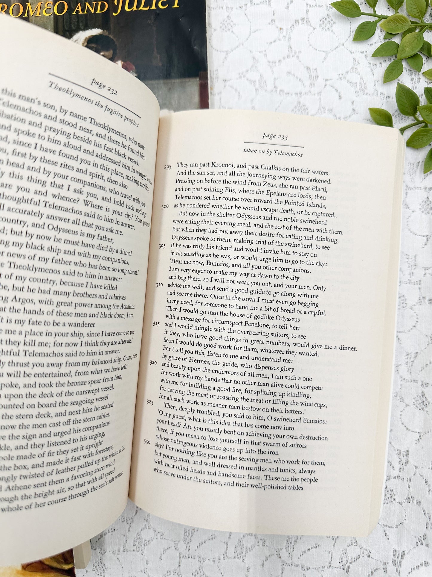 Classic Book Set (Pages have Markings)