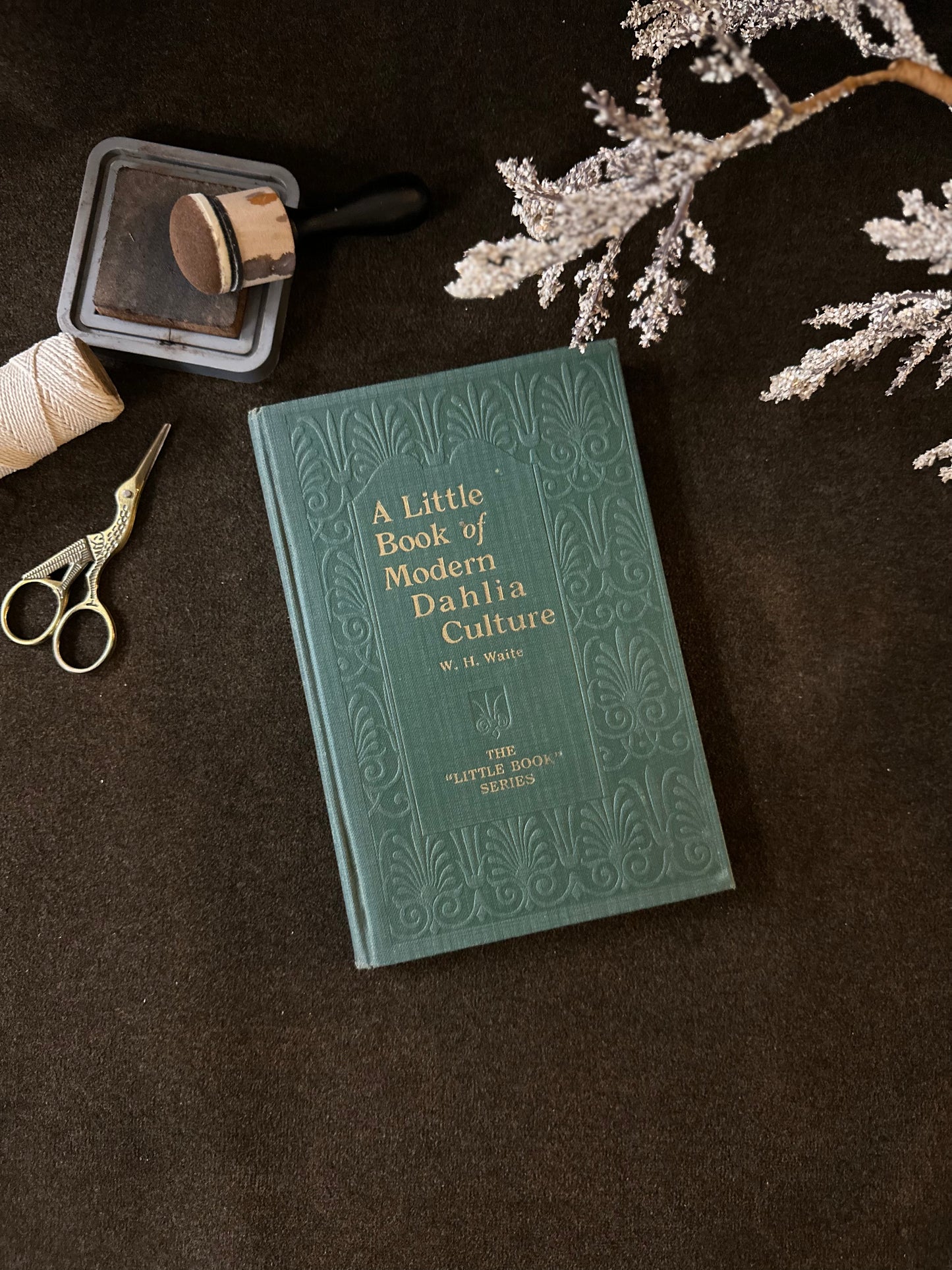 Beautiful Vintage Book