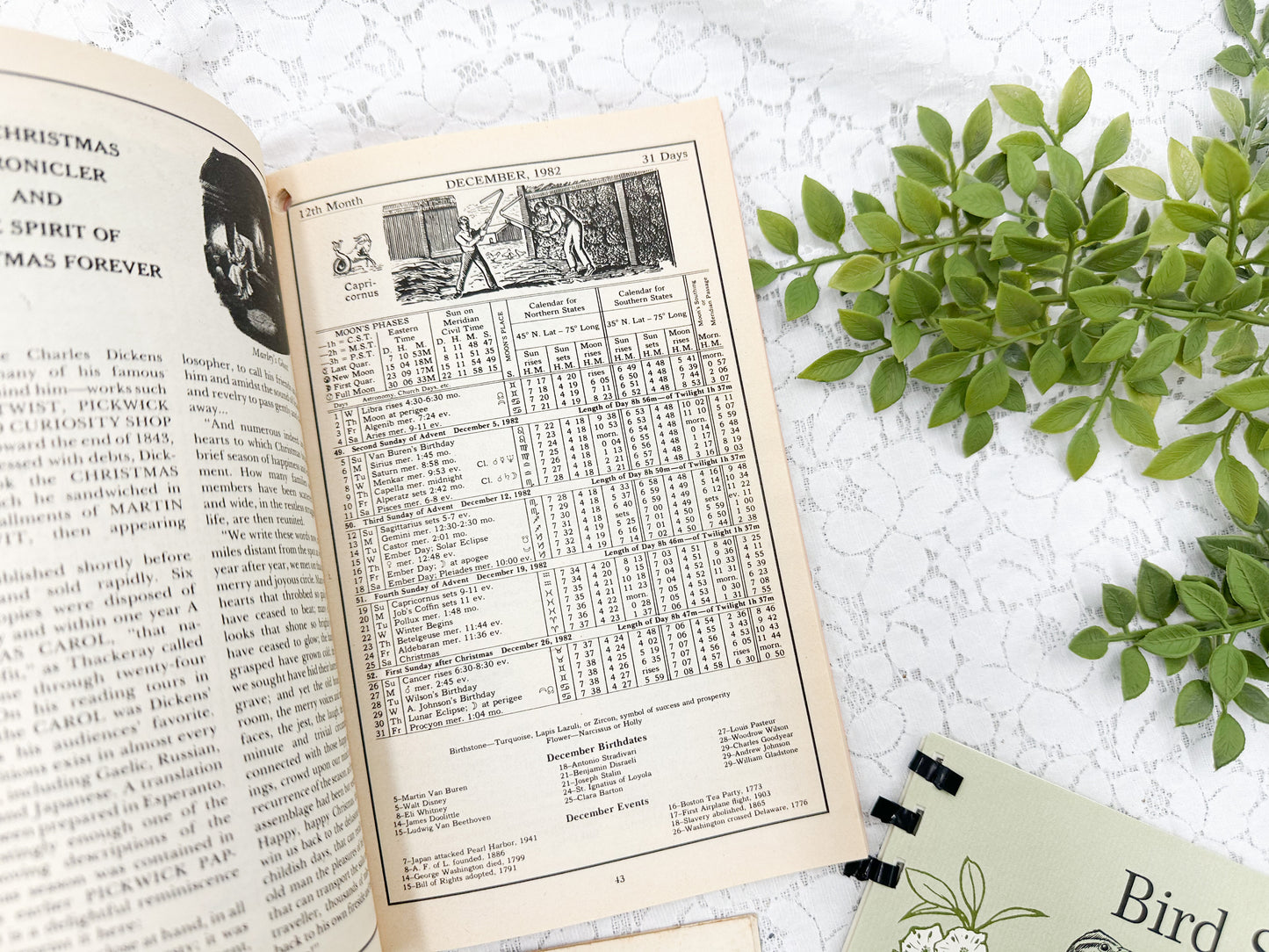 Ephemera Set