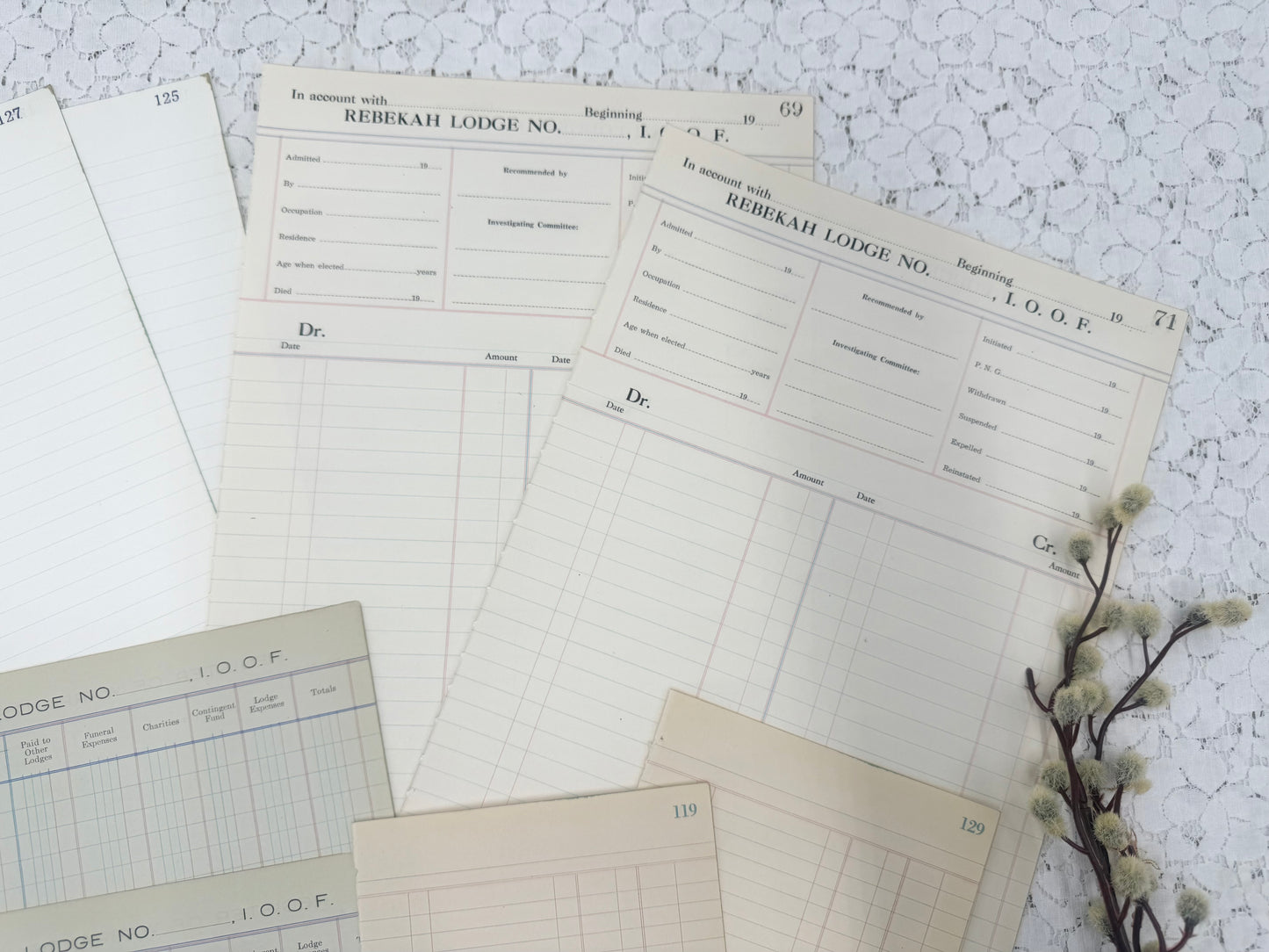 Blank Vintage Ledger Page Pack