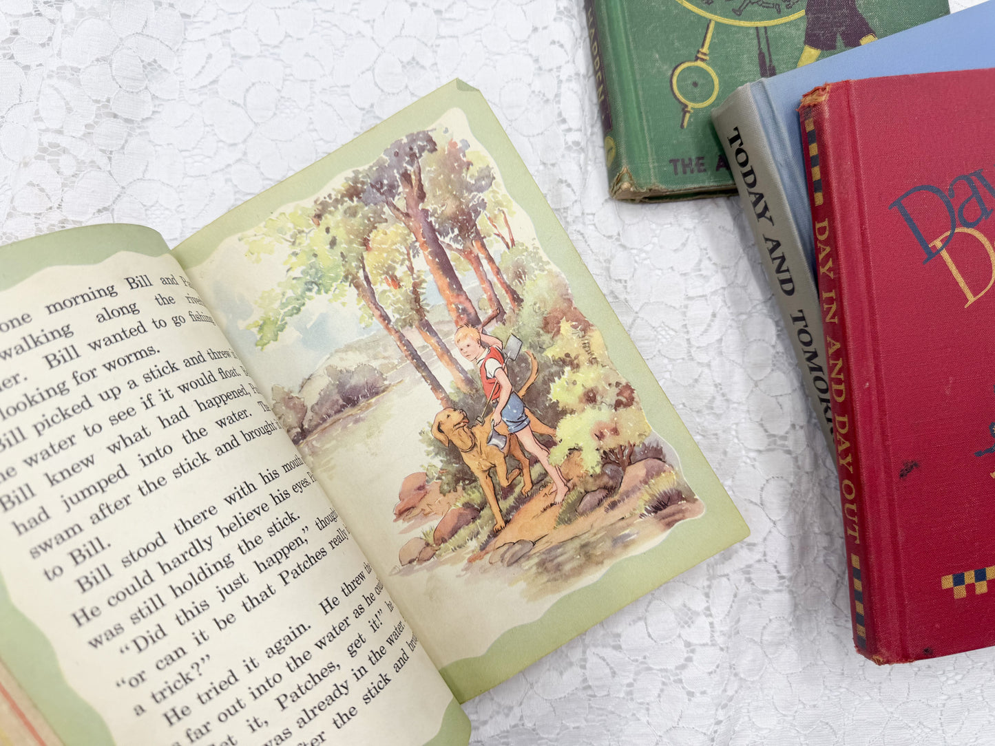Vintage Book Set