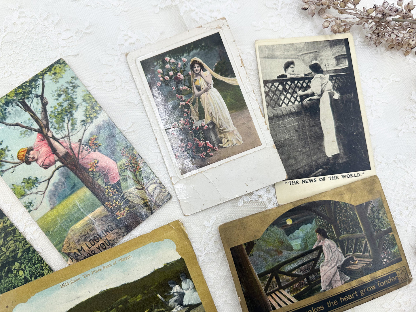 Vintage Postcards