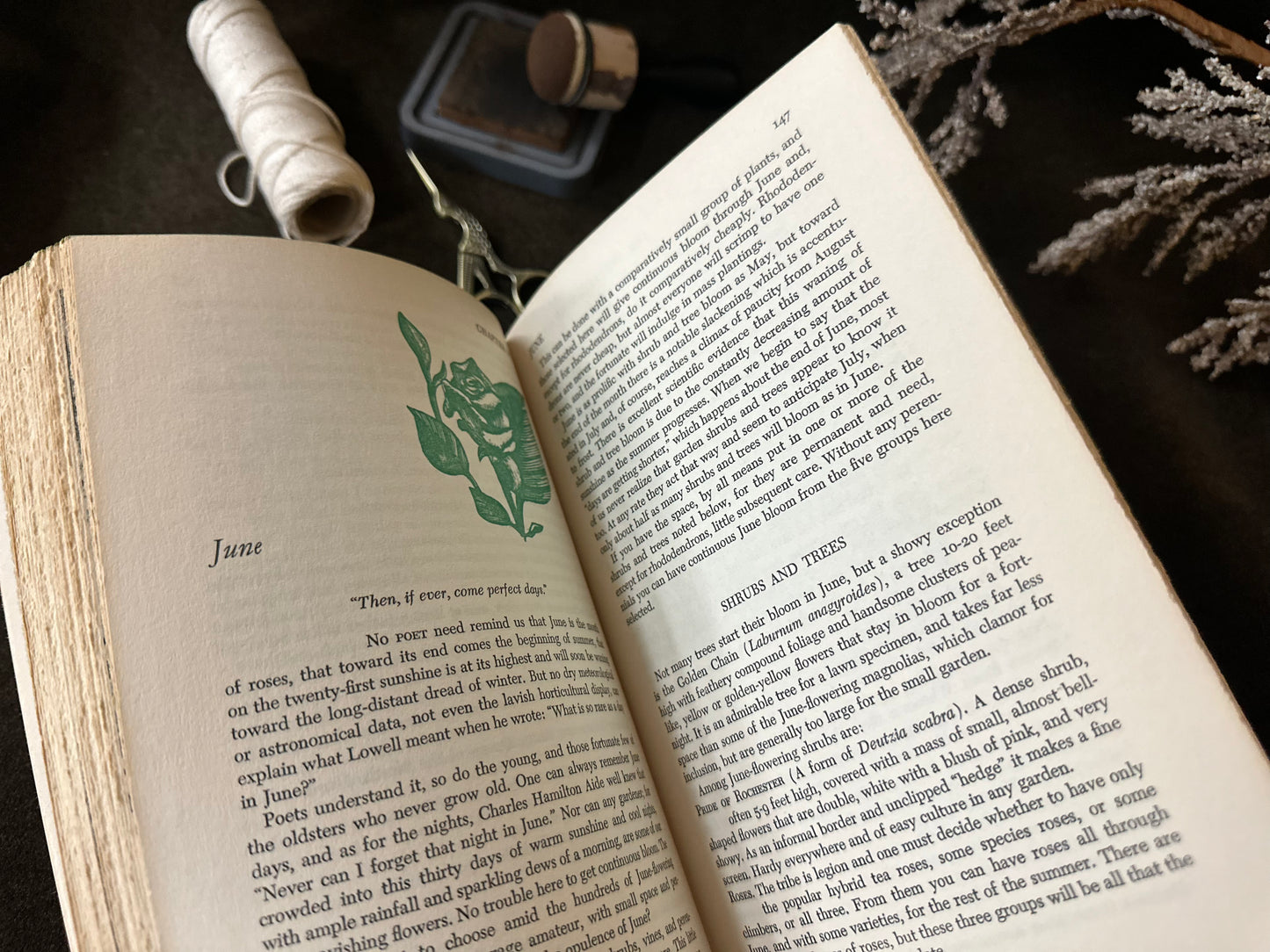Beautiful Vintage Book