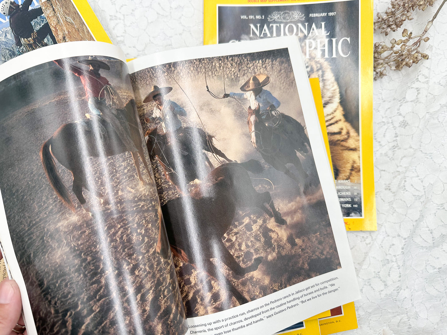 1990's National Geographic Magazines Set of 5