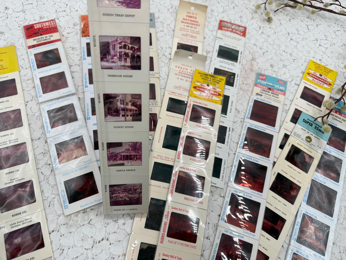 Tourist Slide Packs