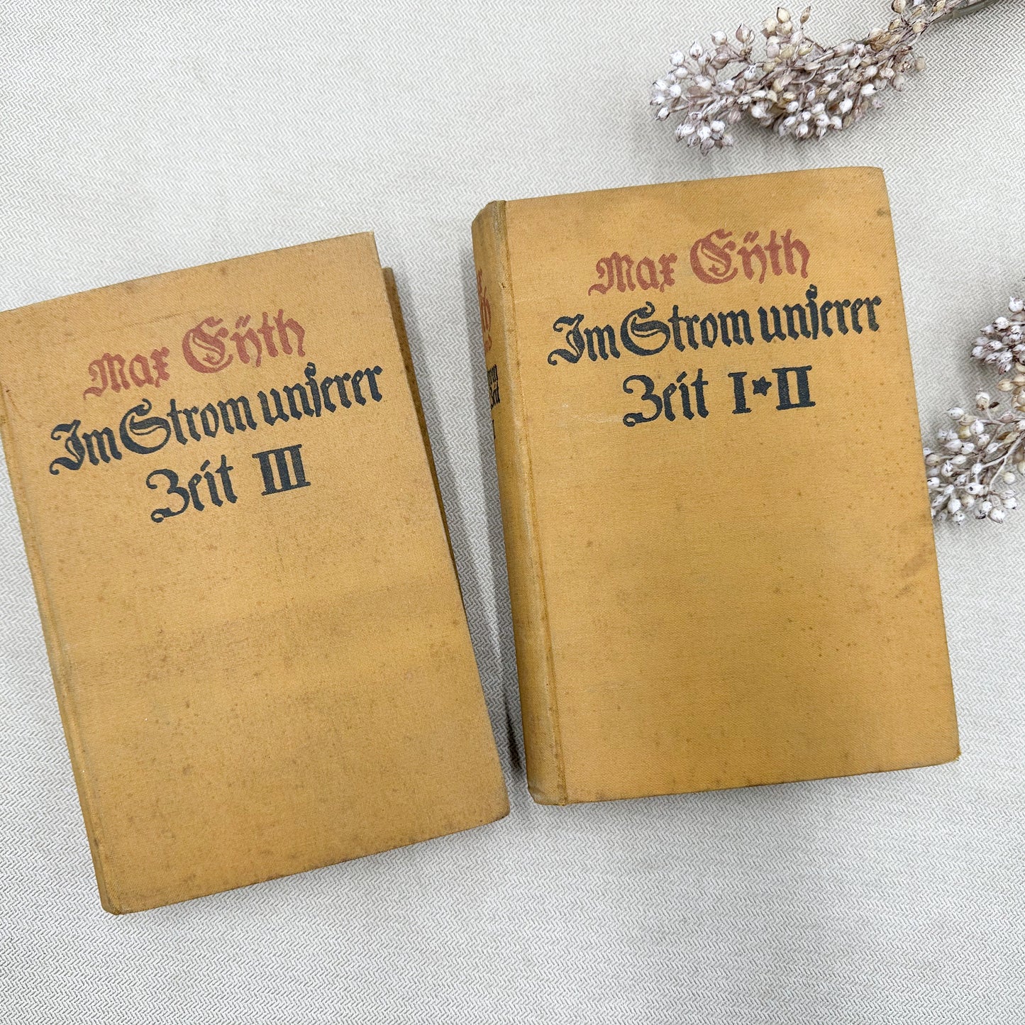 Set of Two Vintage Foreign Language Books