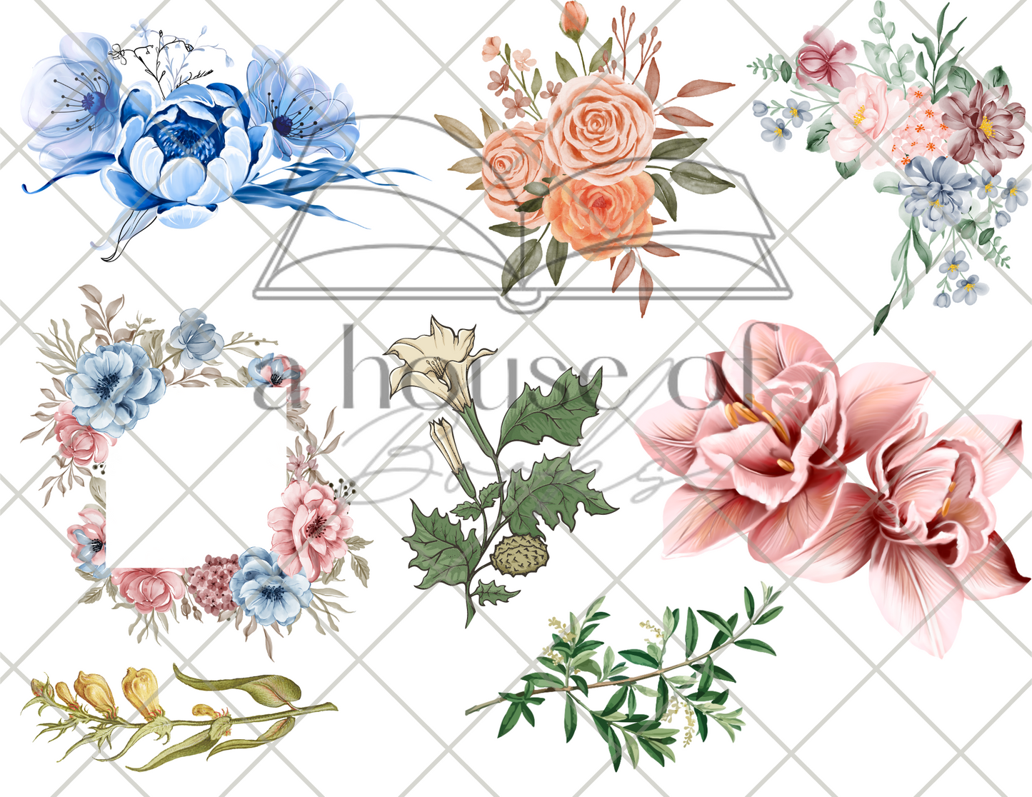 Image Transfer Files- Digital Download
