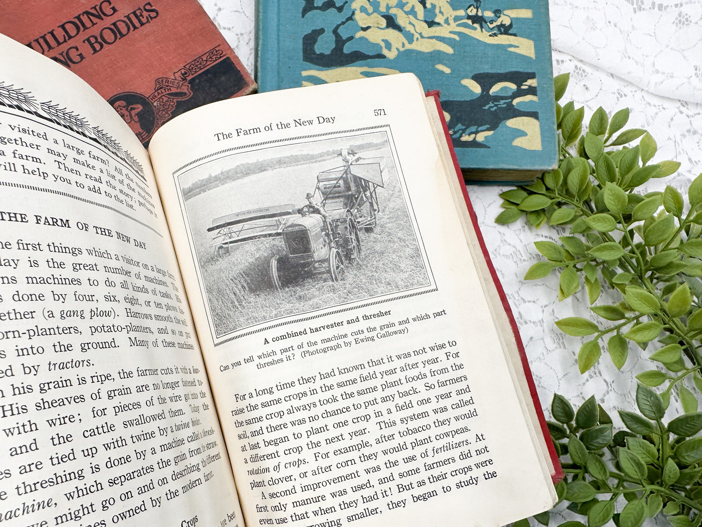 Vintage Textbooks (Set of 4)