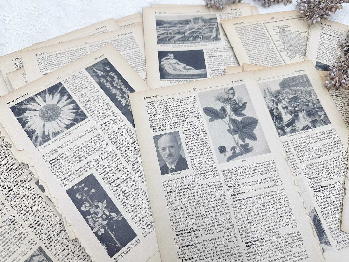 Foreign Language Pictorial Encyclopedia Pack