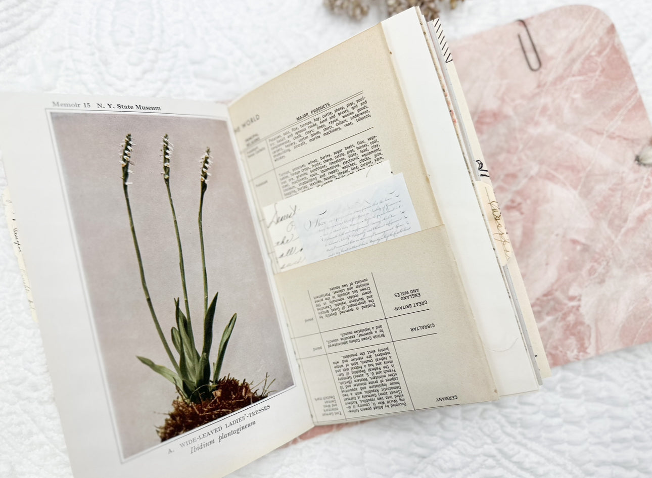 Sewn Journal Class