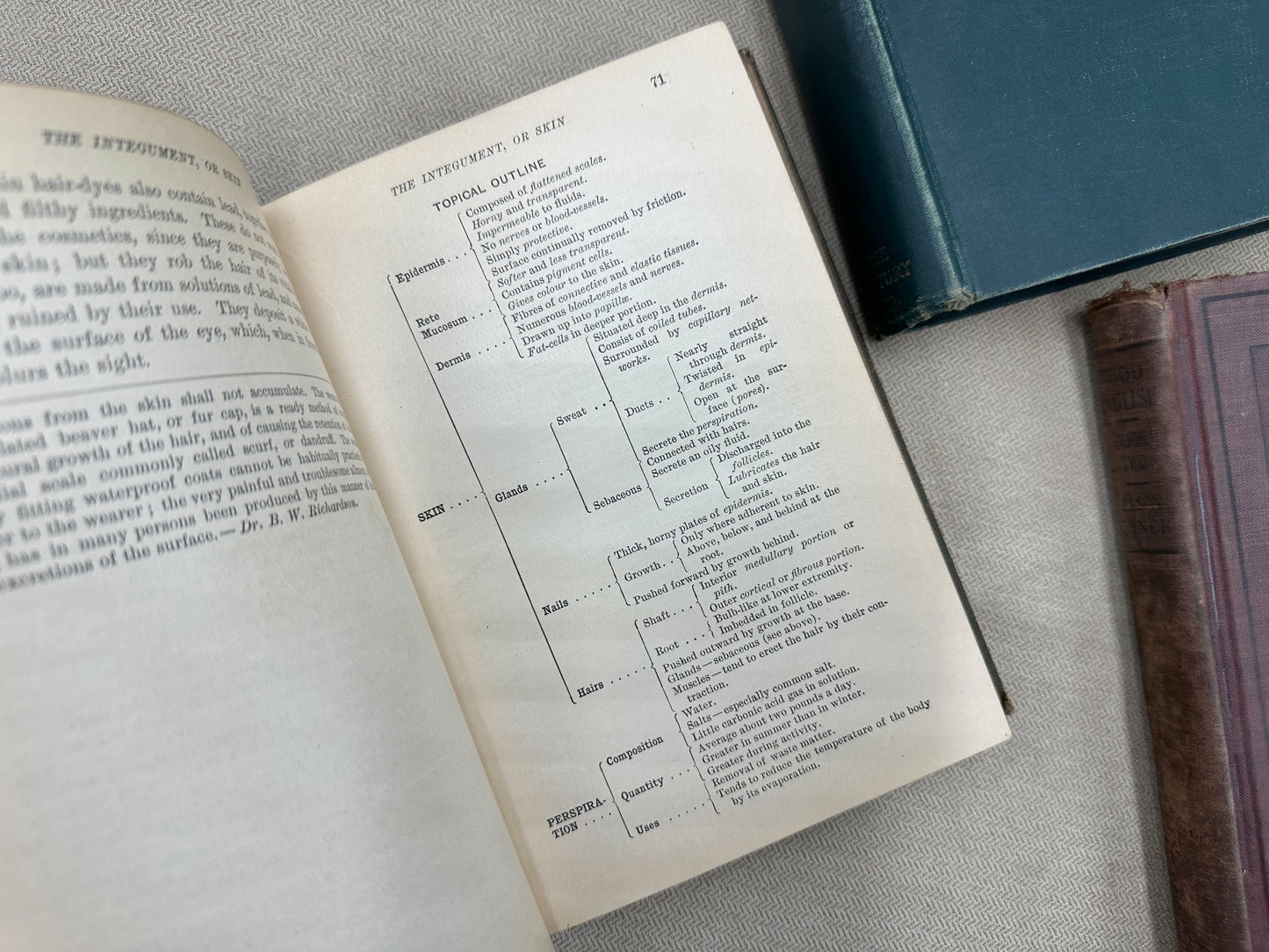 Set of Three Vintage Textbooks