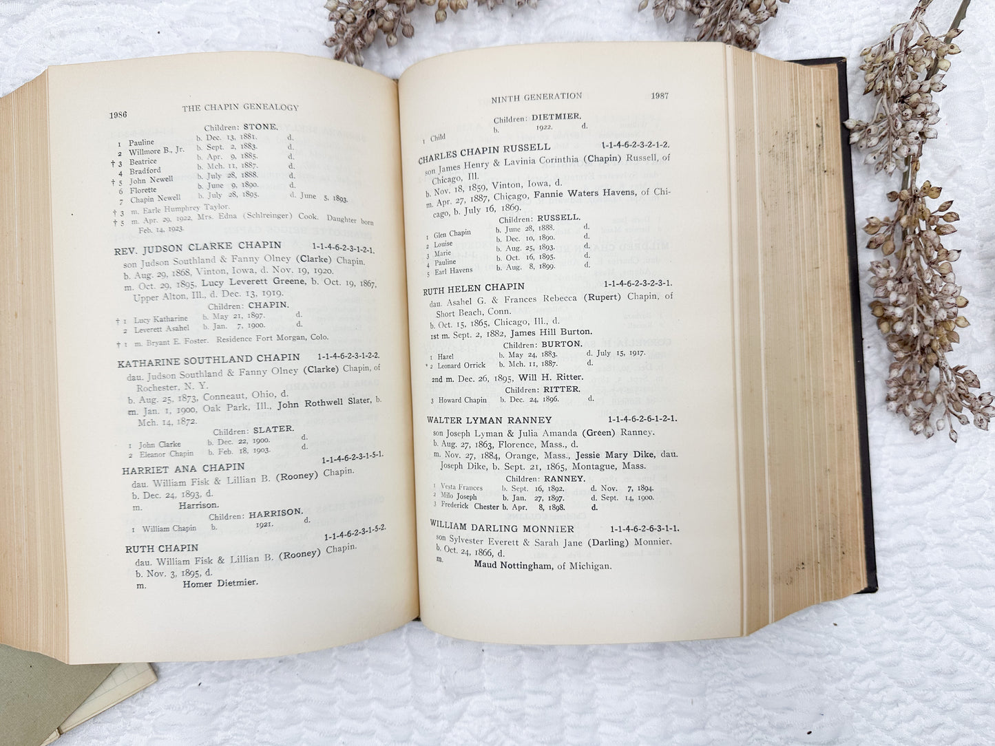 Vintage Genealogy