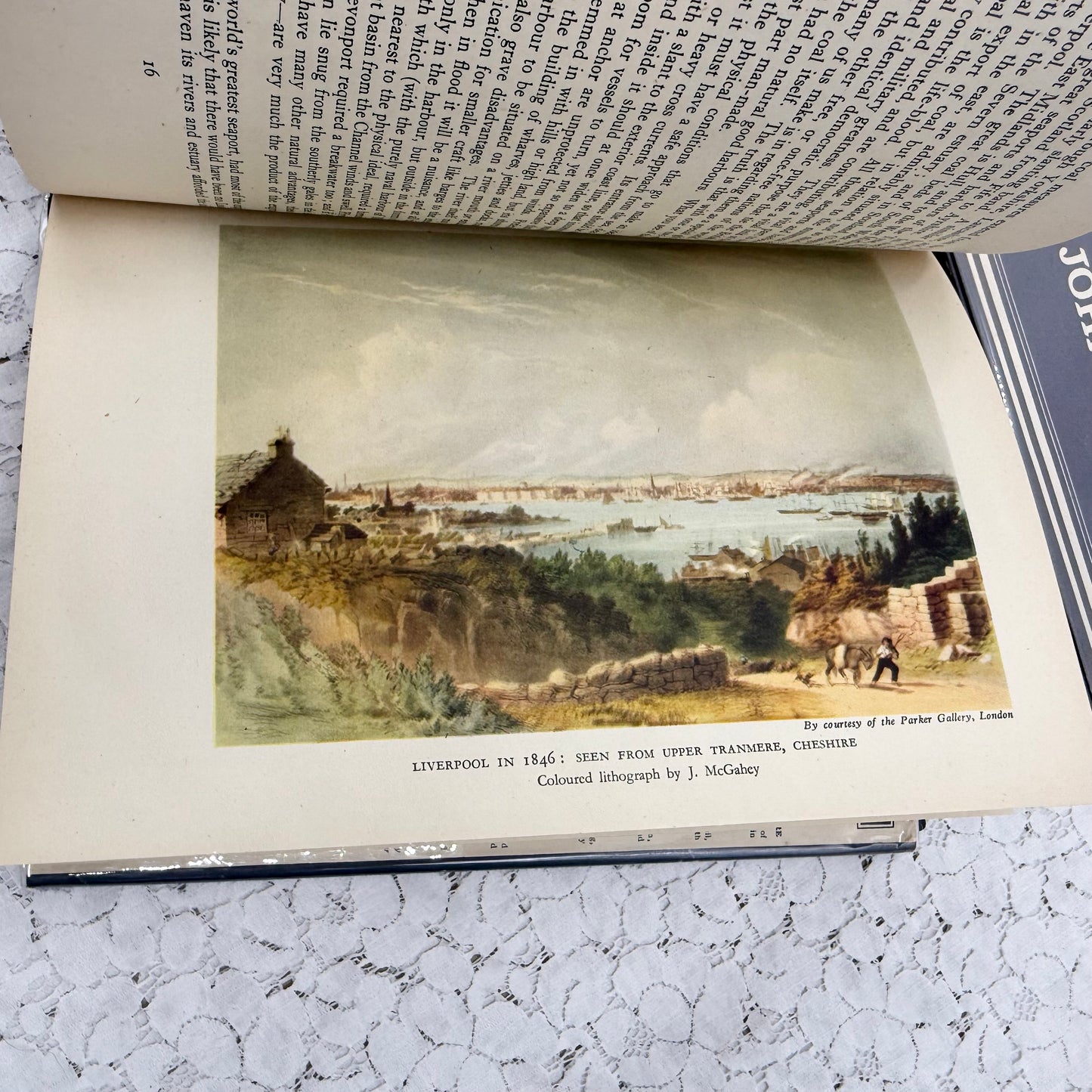 Illustrated Book Set