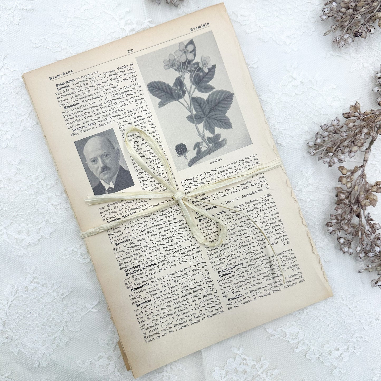 Foreign Language Pictorial Encyclopedia Pack