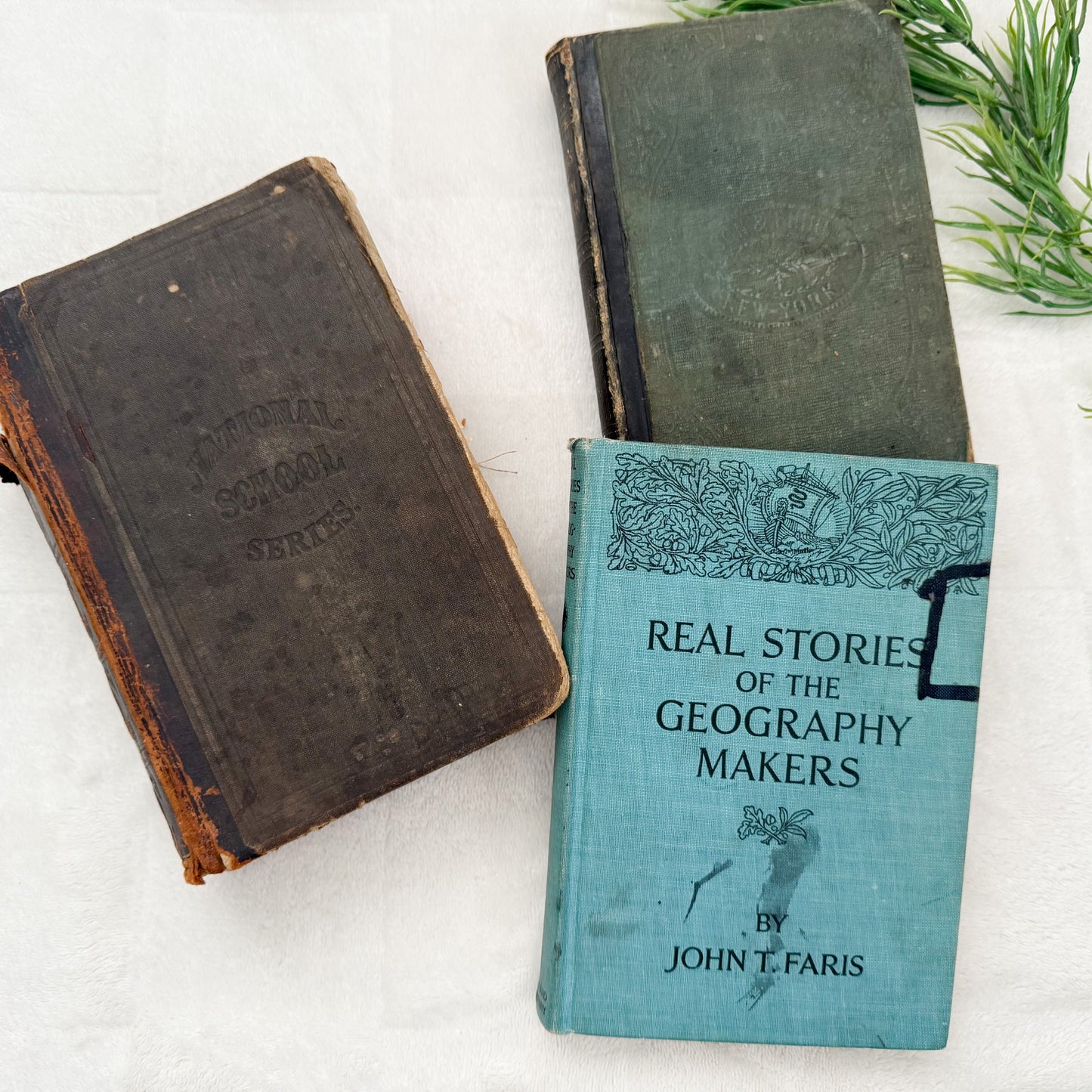 Vintage Textbook Set