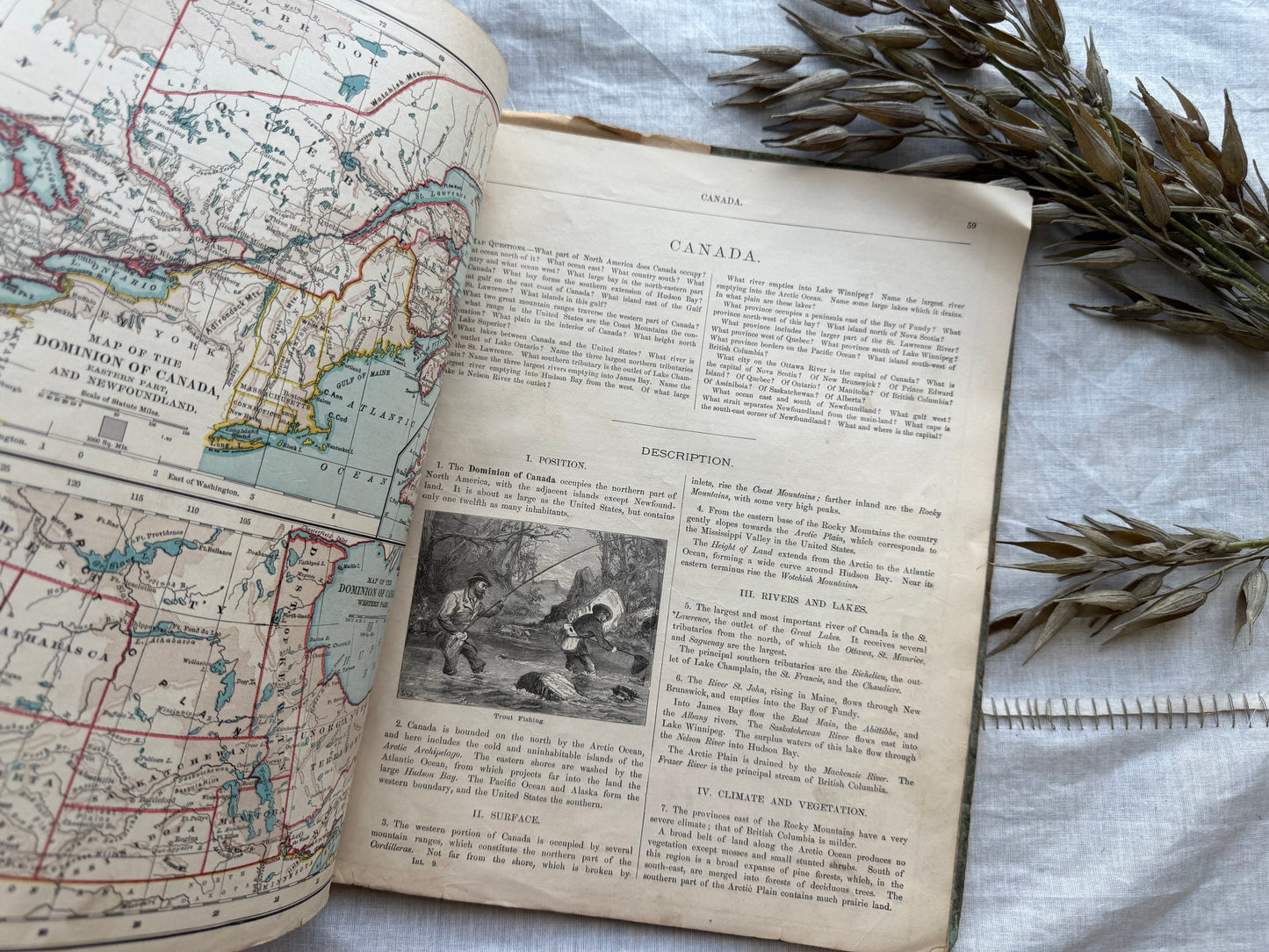 Vintage Geography Textbook