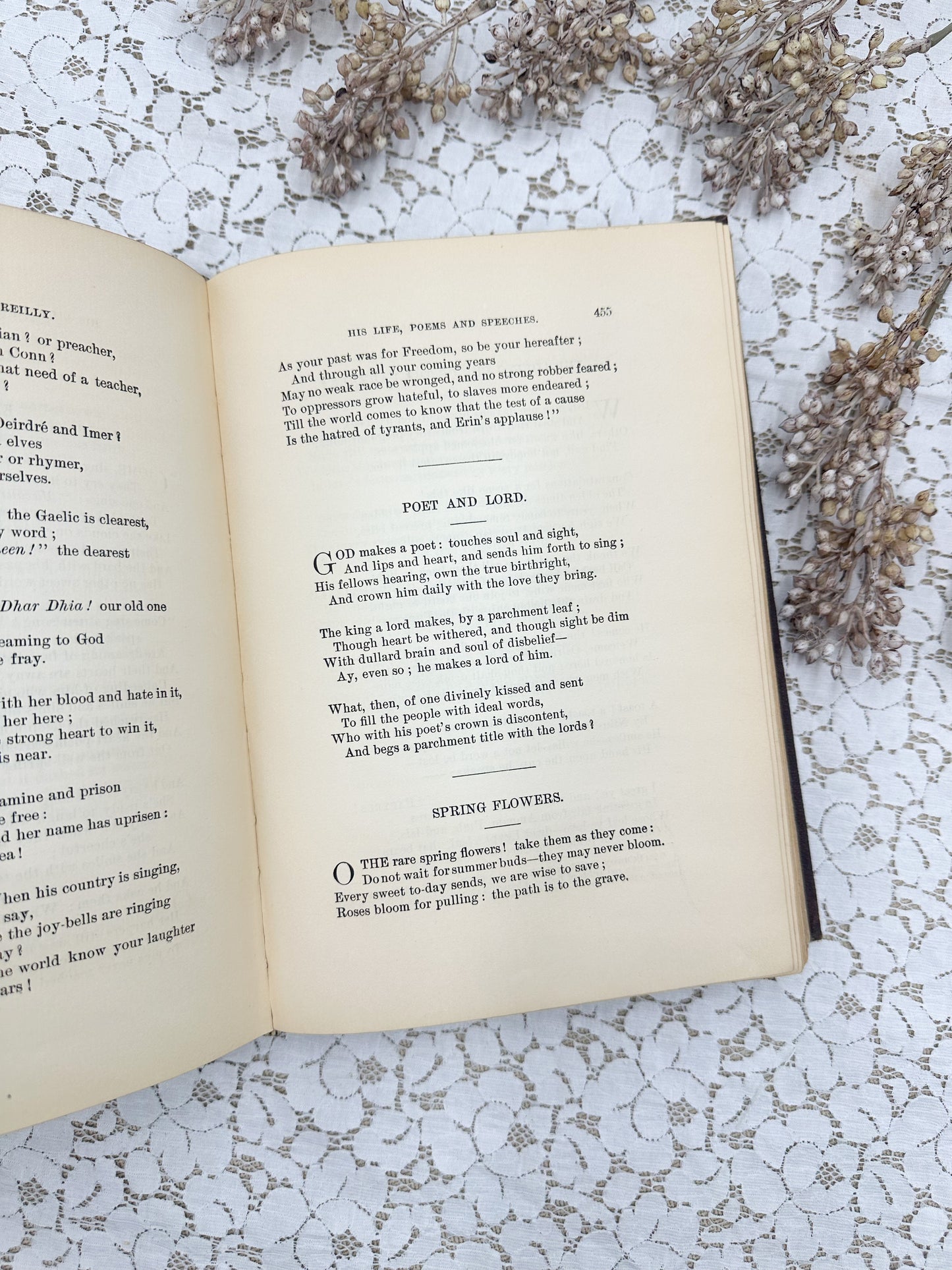 John Boyle O'Reilly- 1891