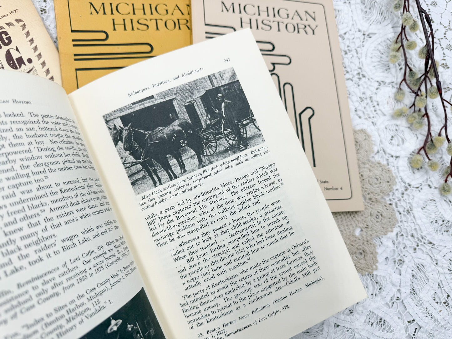 Michigan History Books
