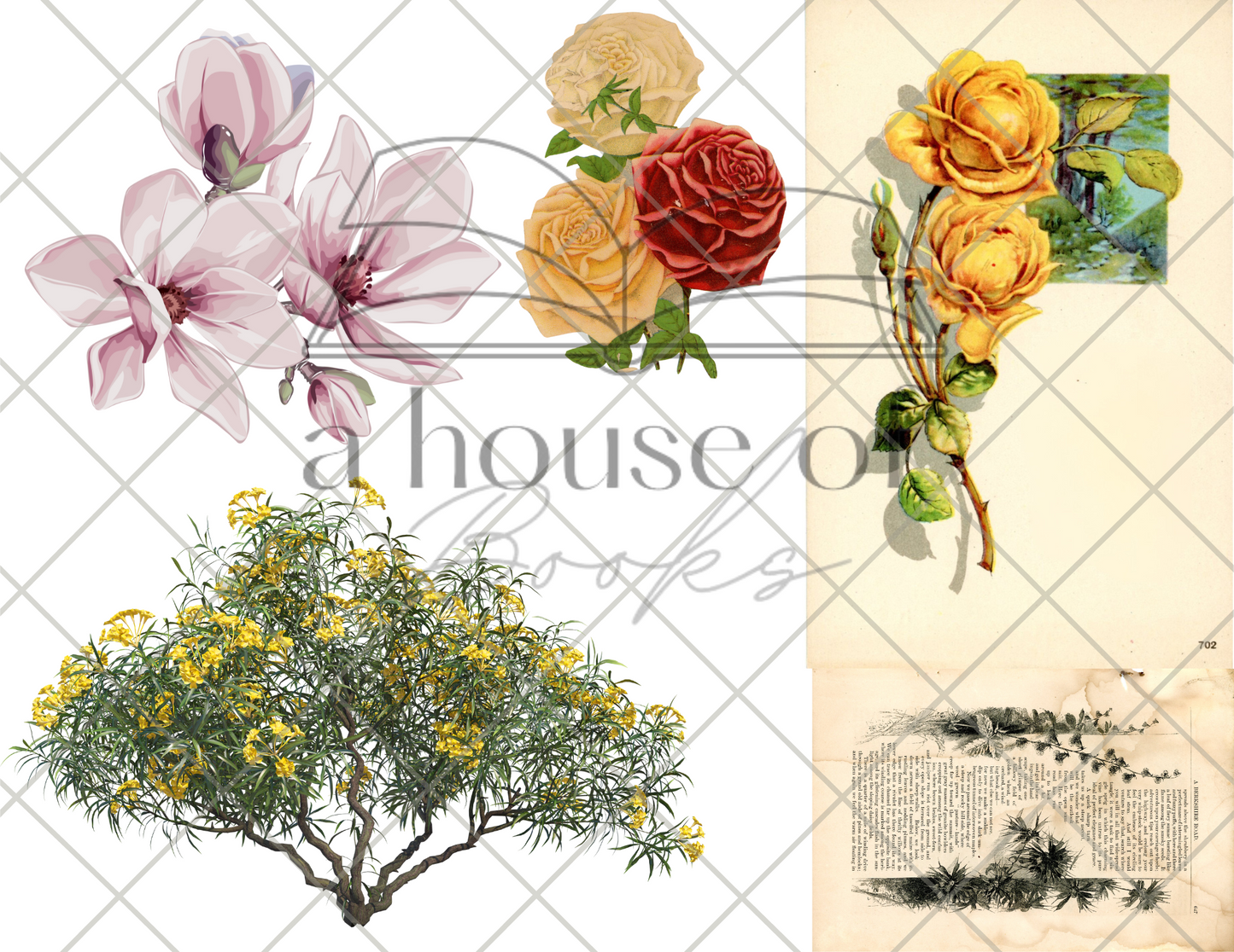 Image Transfer Files- Digital Download