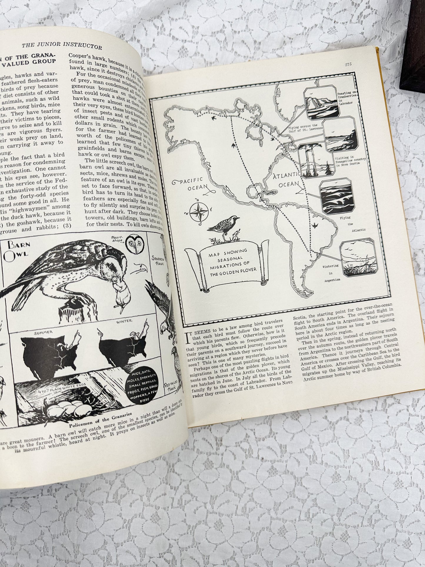 The Junior Instruction Book Two