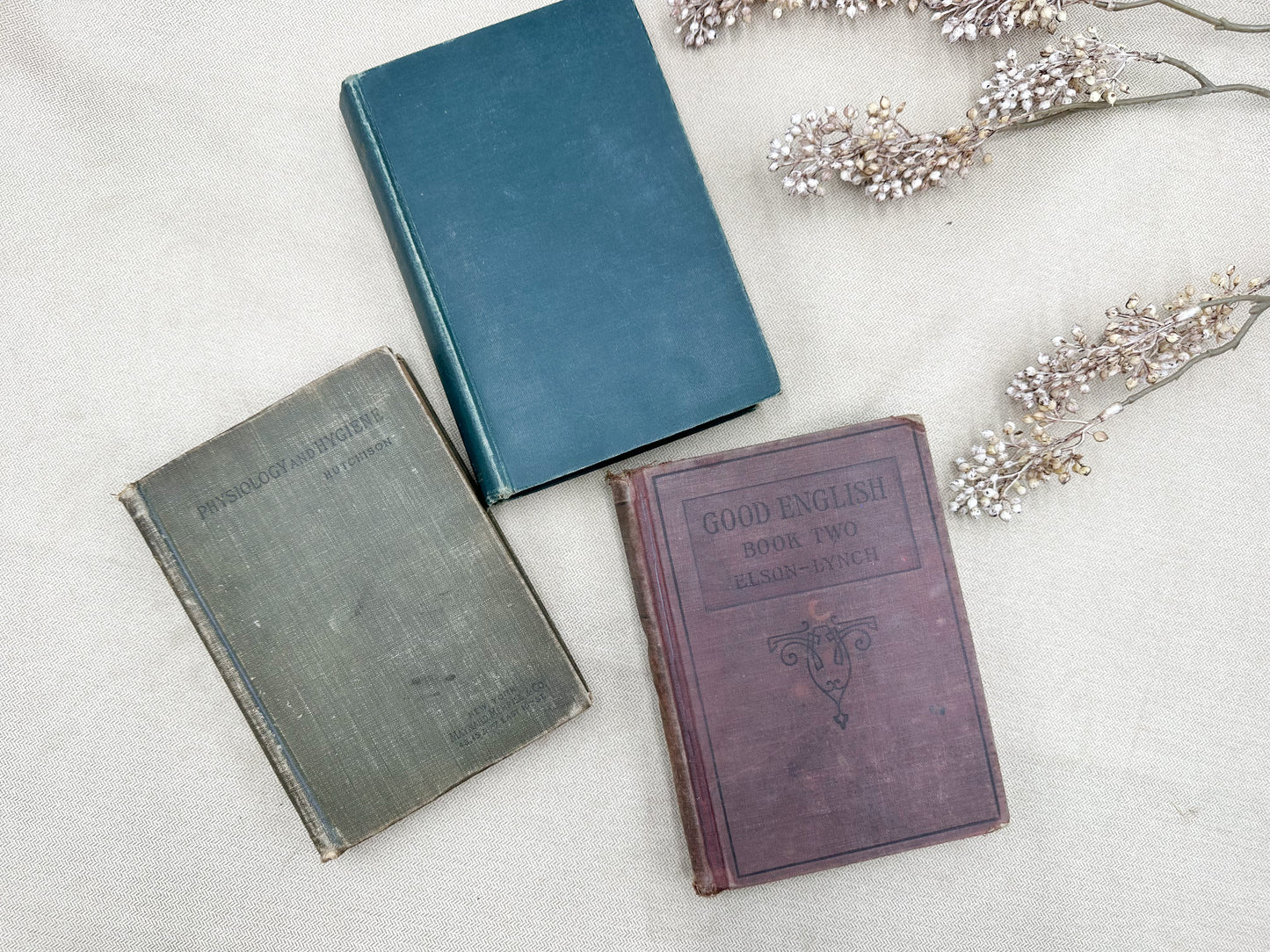 Set of Three Vintage Textbooks