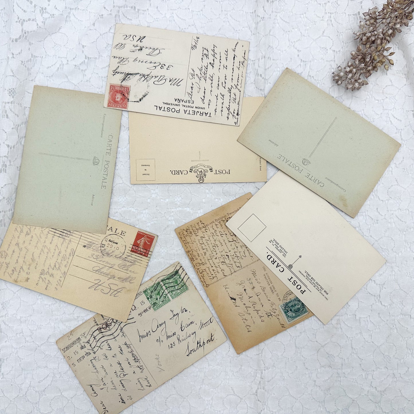 Vintage Postcard Set