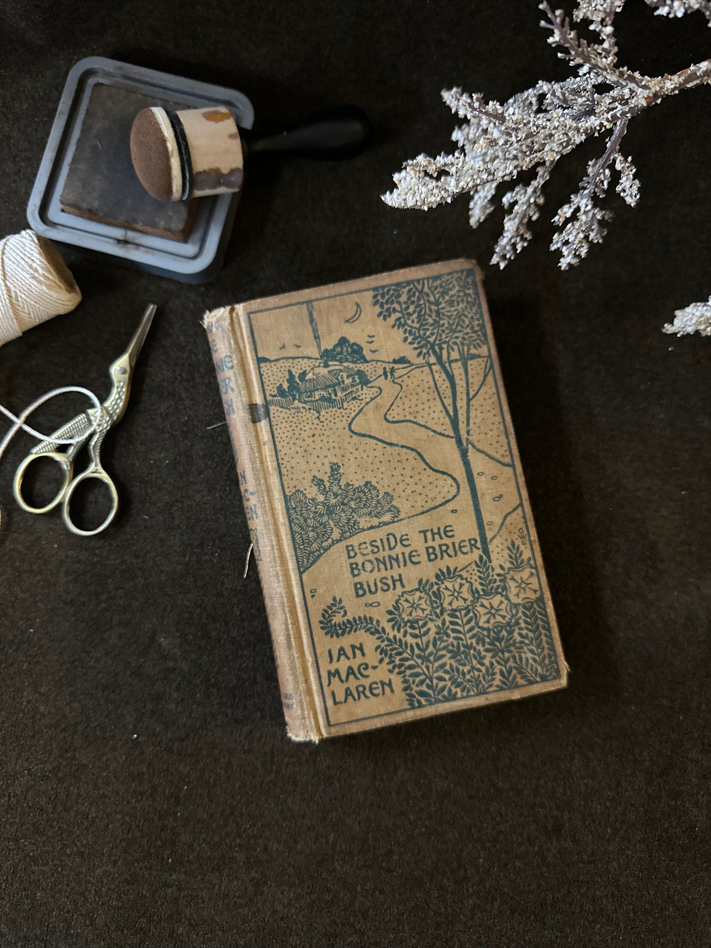 Beautiful Vintage Book